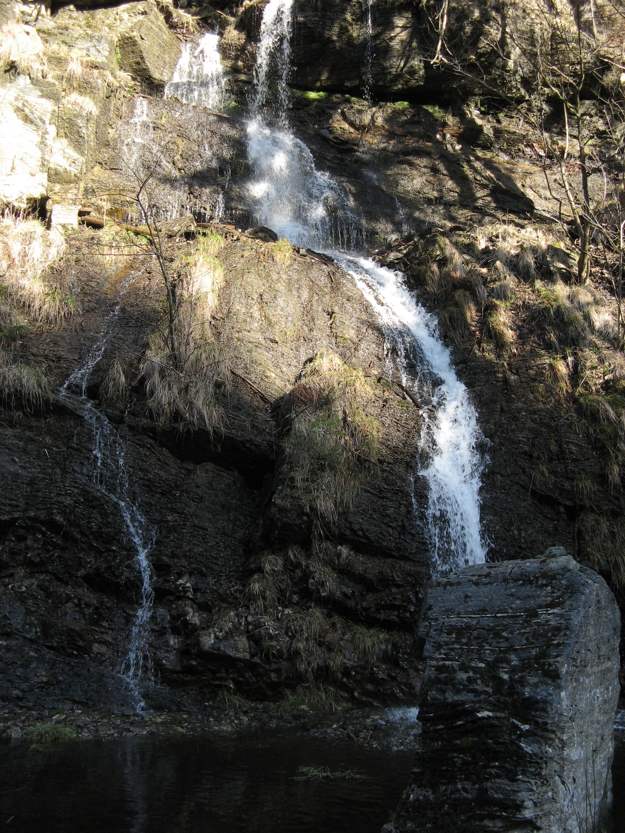 20070311154918.jpg