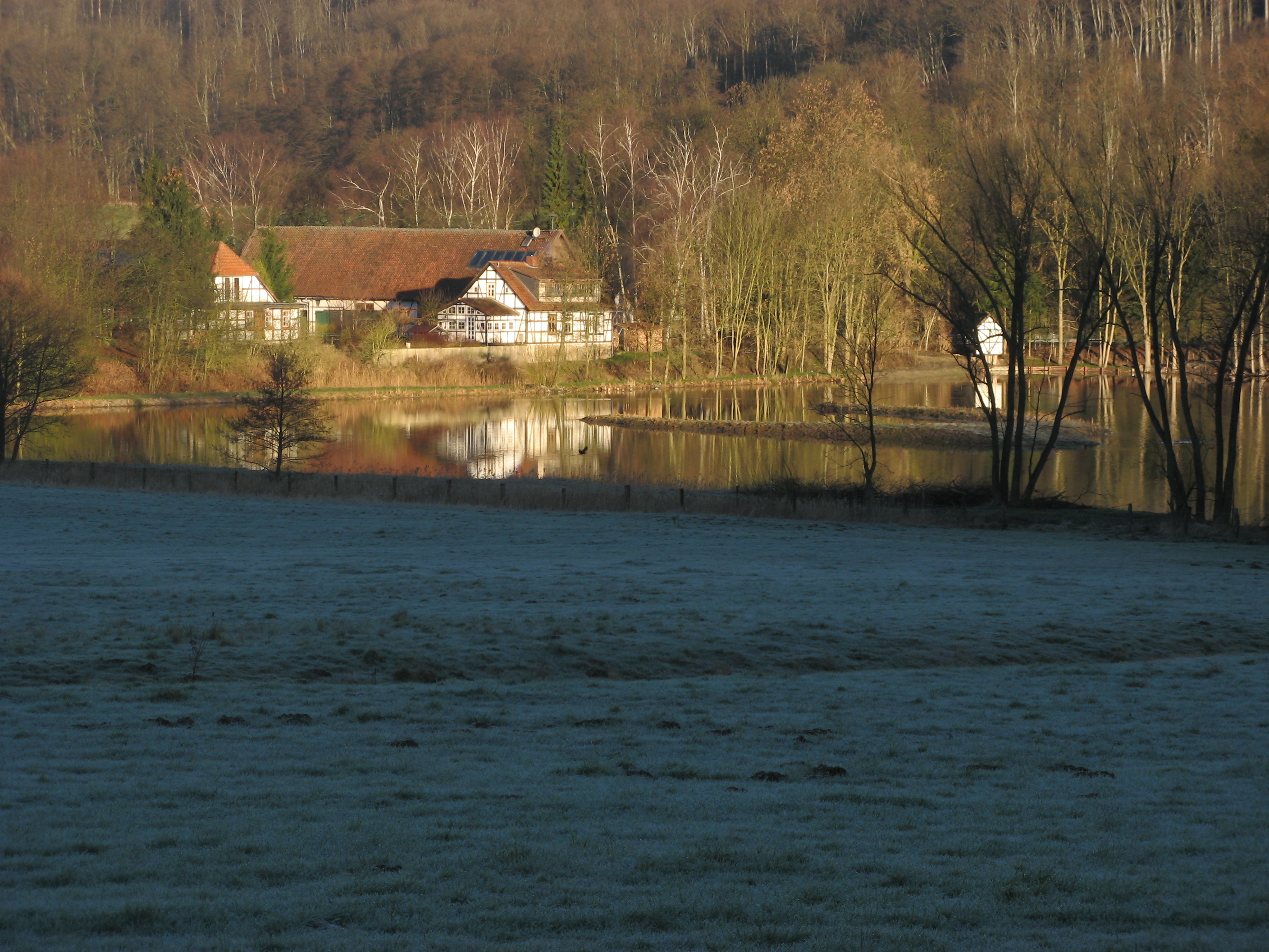 20070312073259.jpg