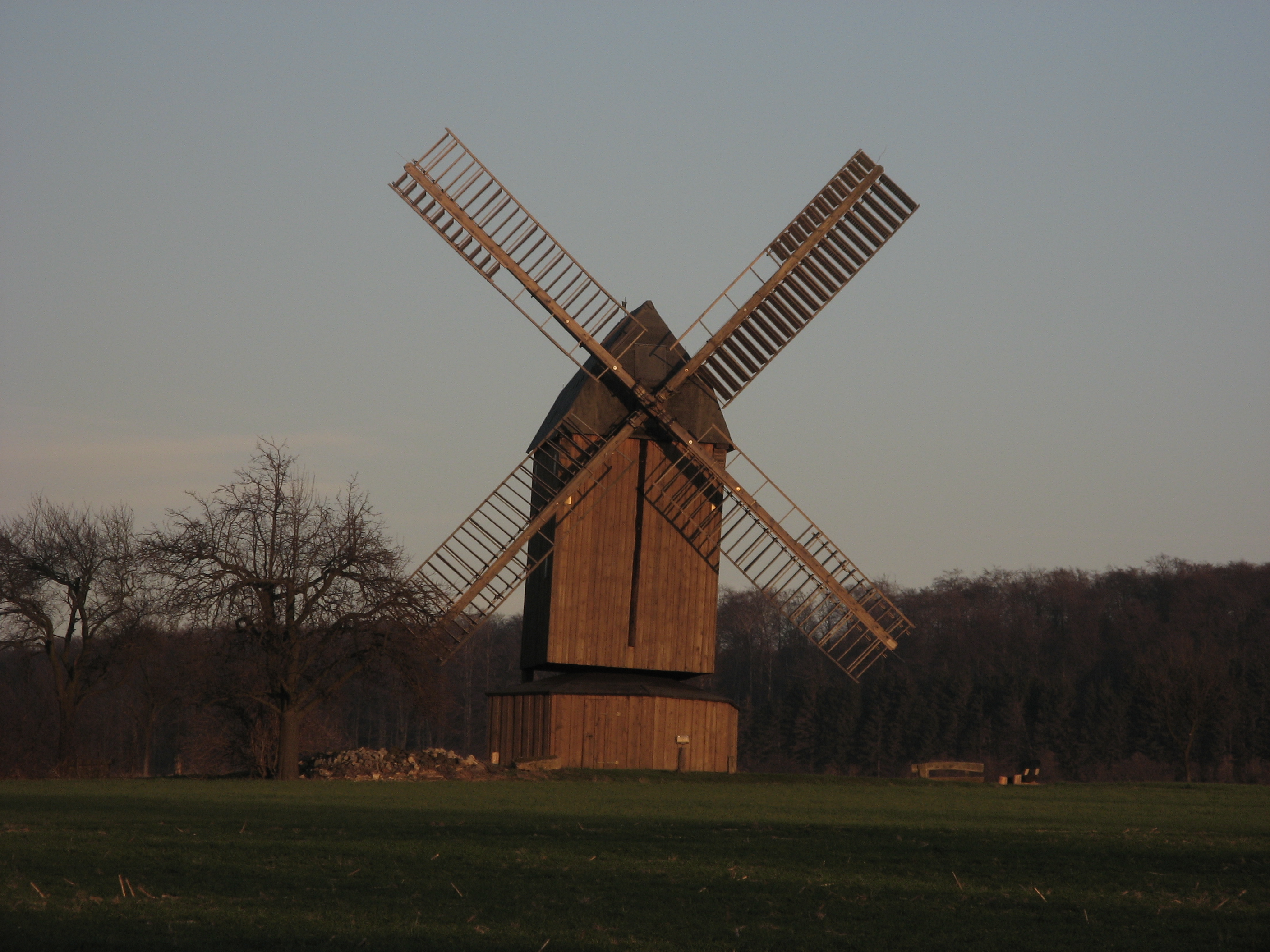 20070312174902.jpg