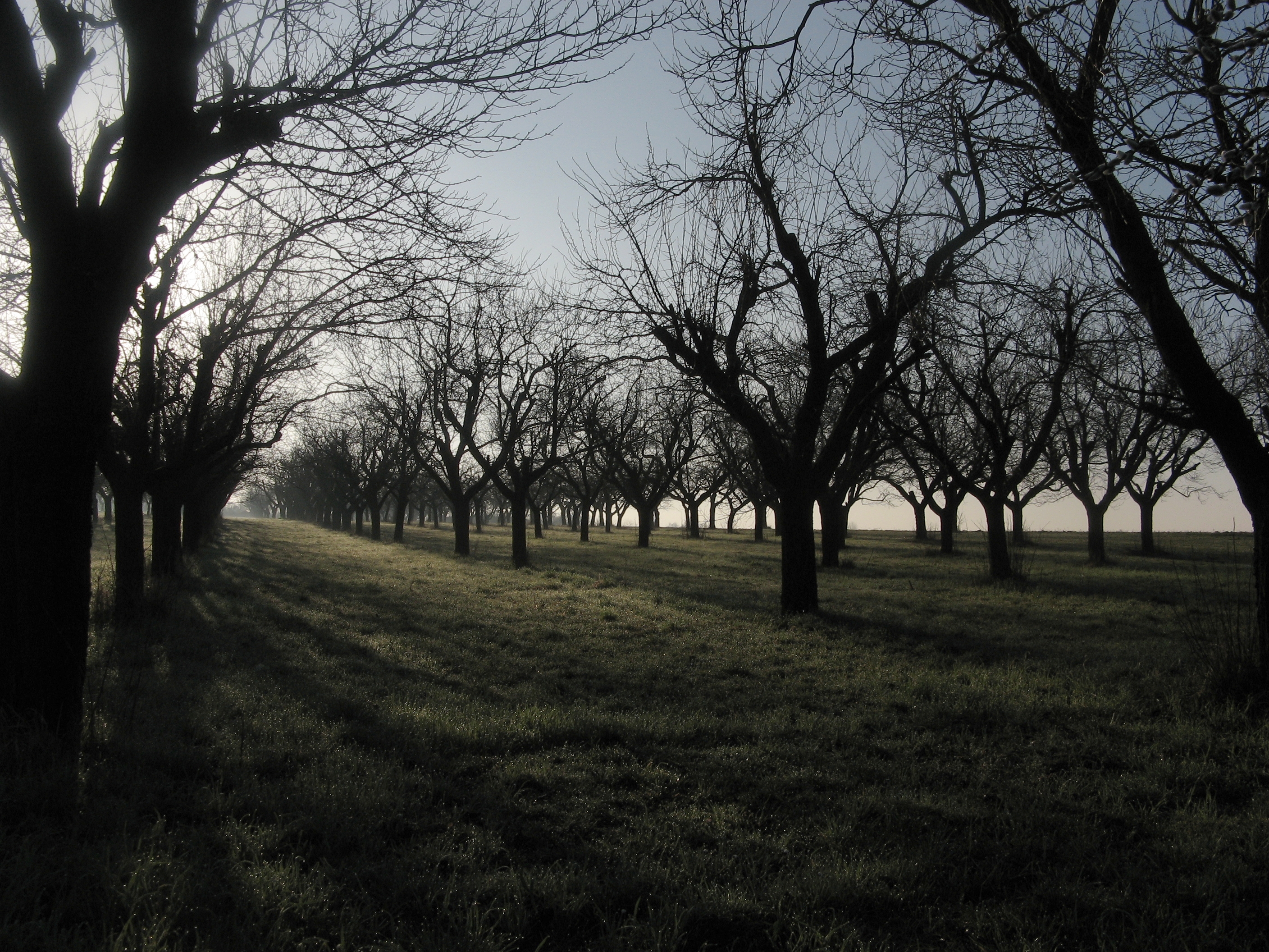 20070314075455.jpg