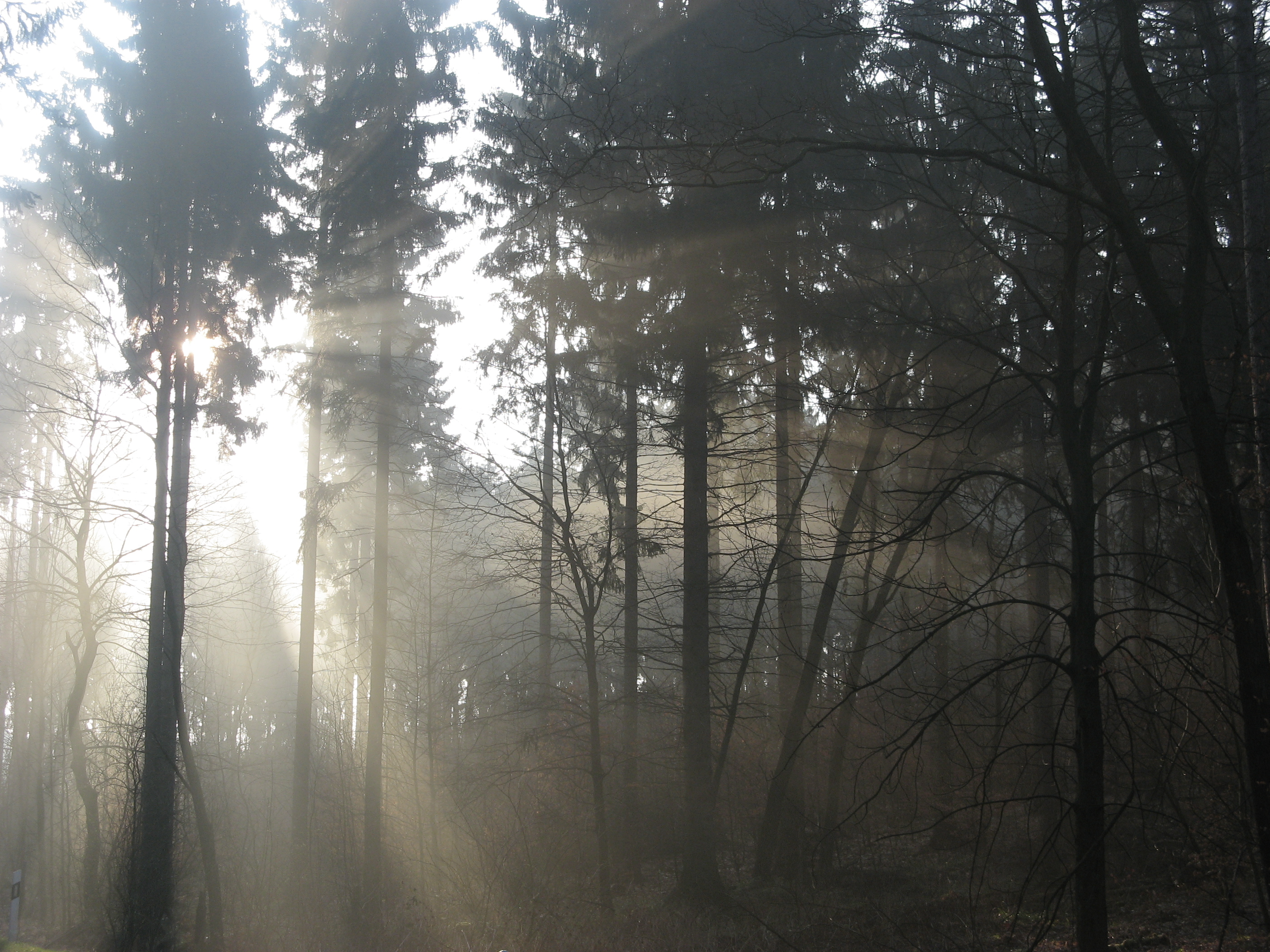 20070315081206.jpg