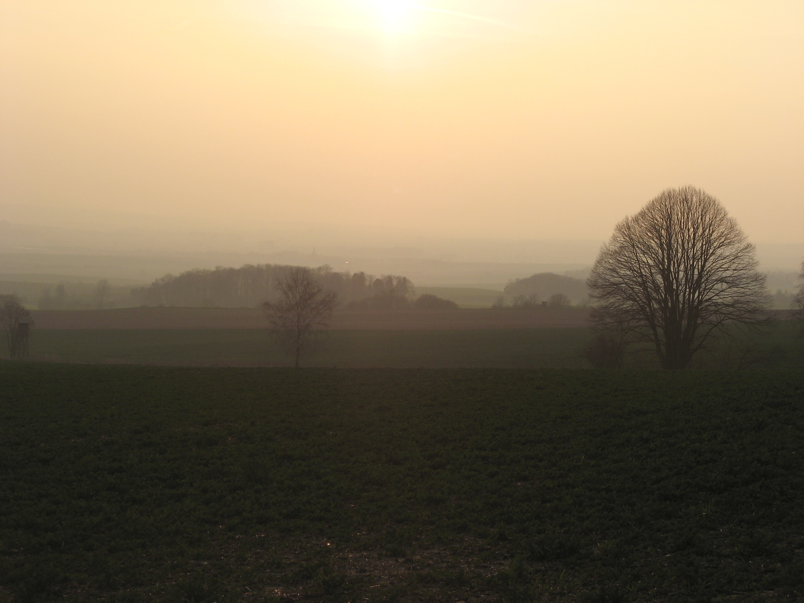 20070315172352.jpg