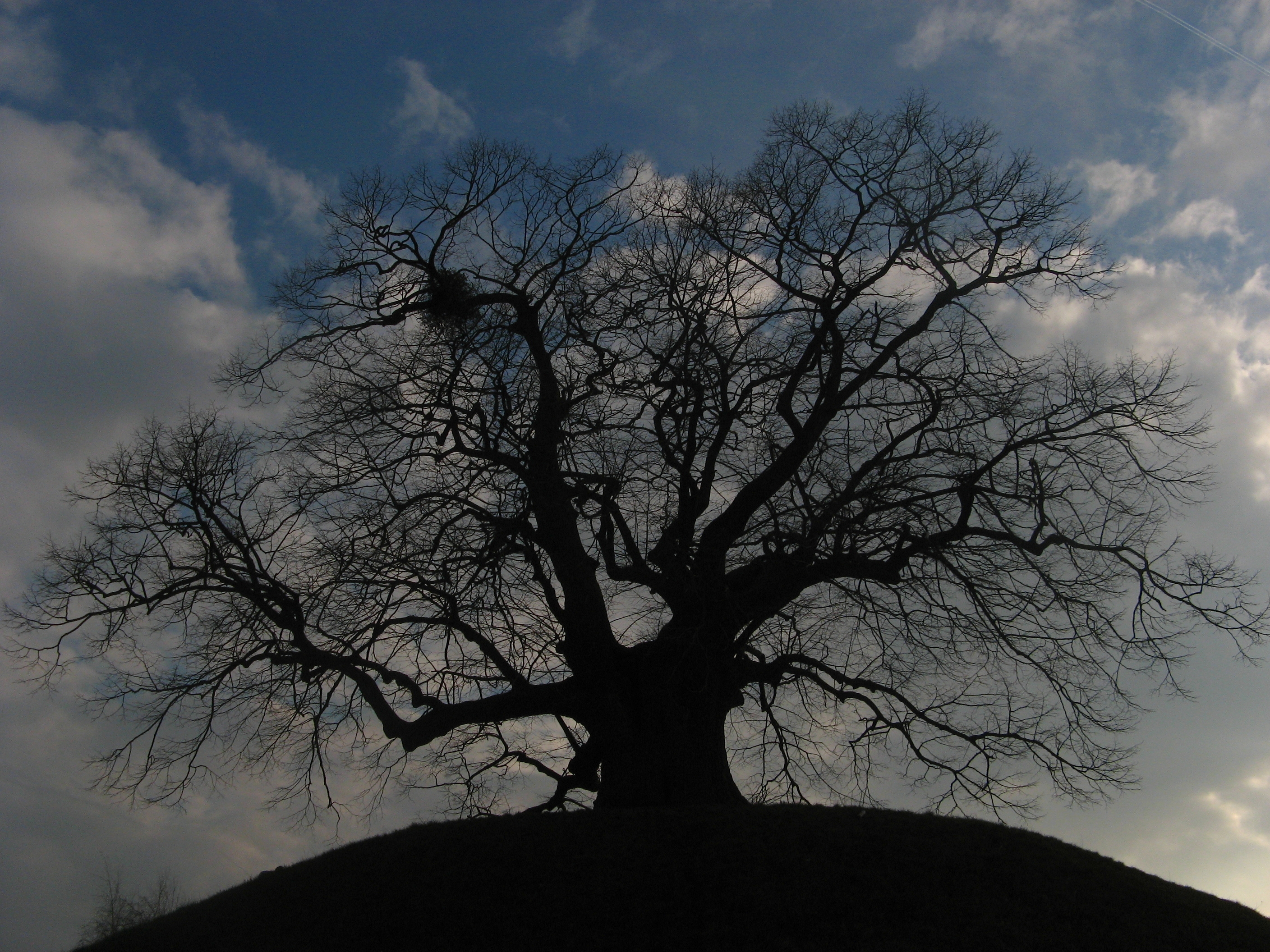 20070316164434.jpg