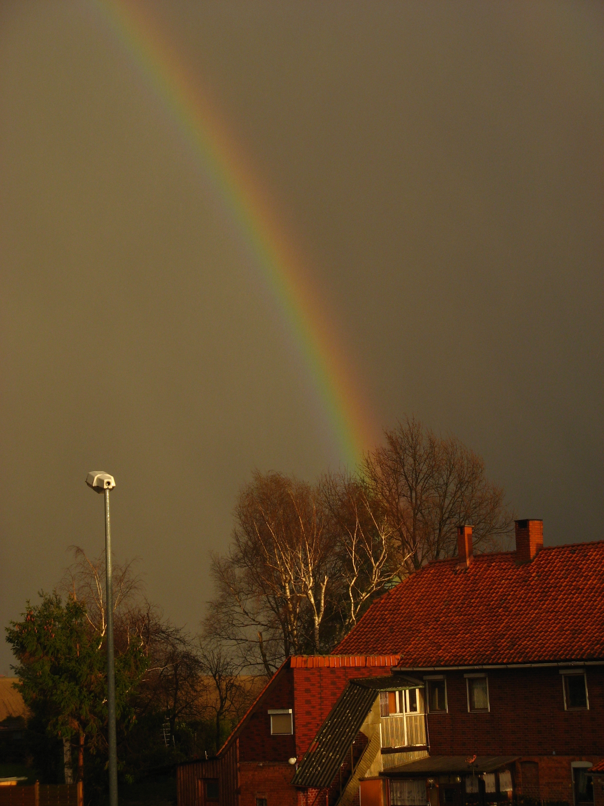 20070318174534.jpg