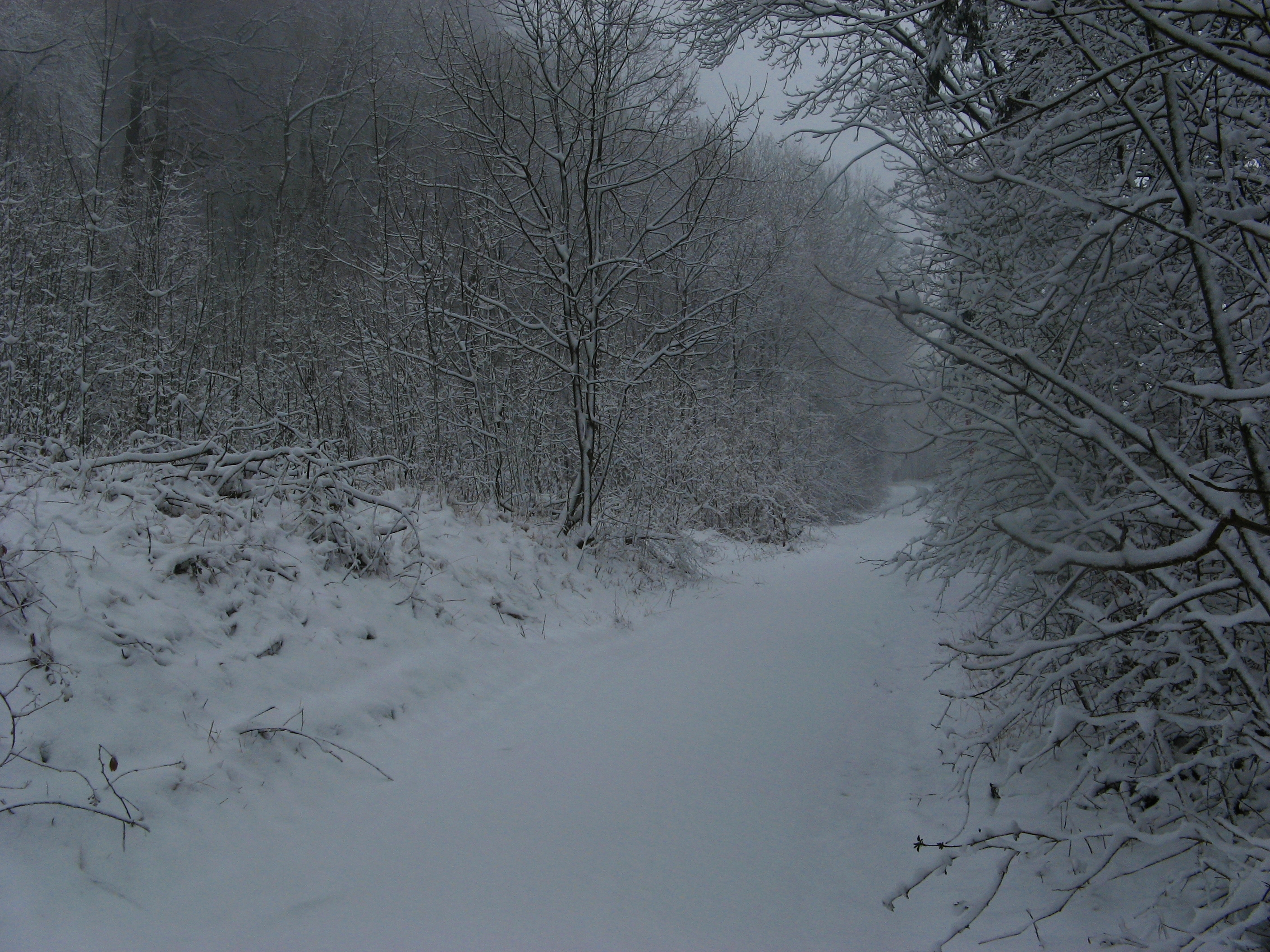 20070322080427.jpg