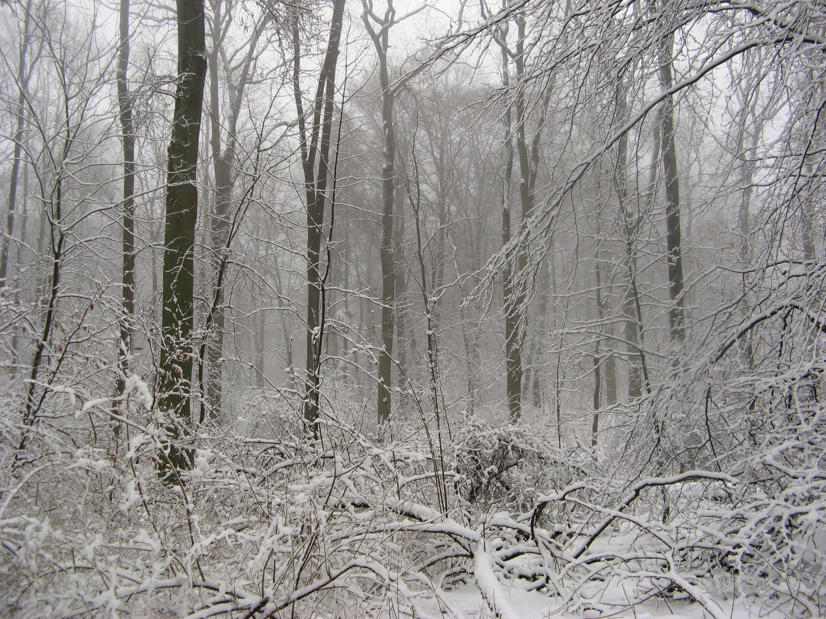 20070322082326.jpg