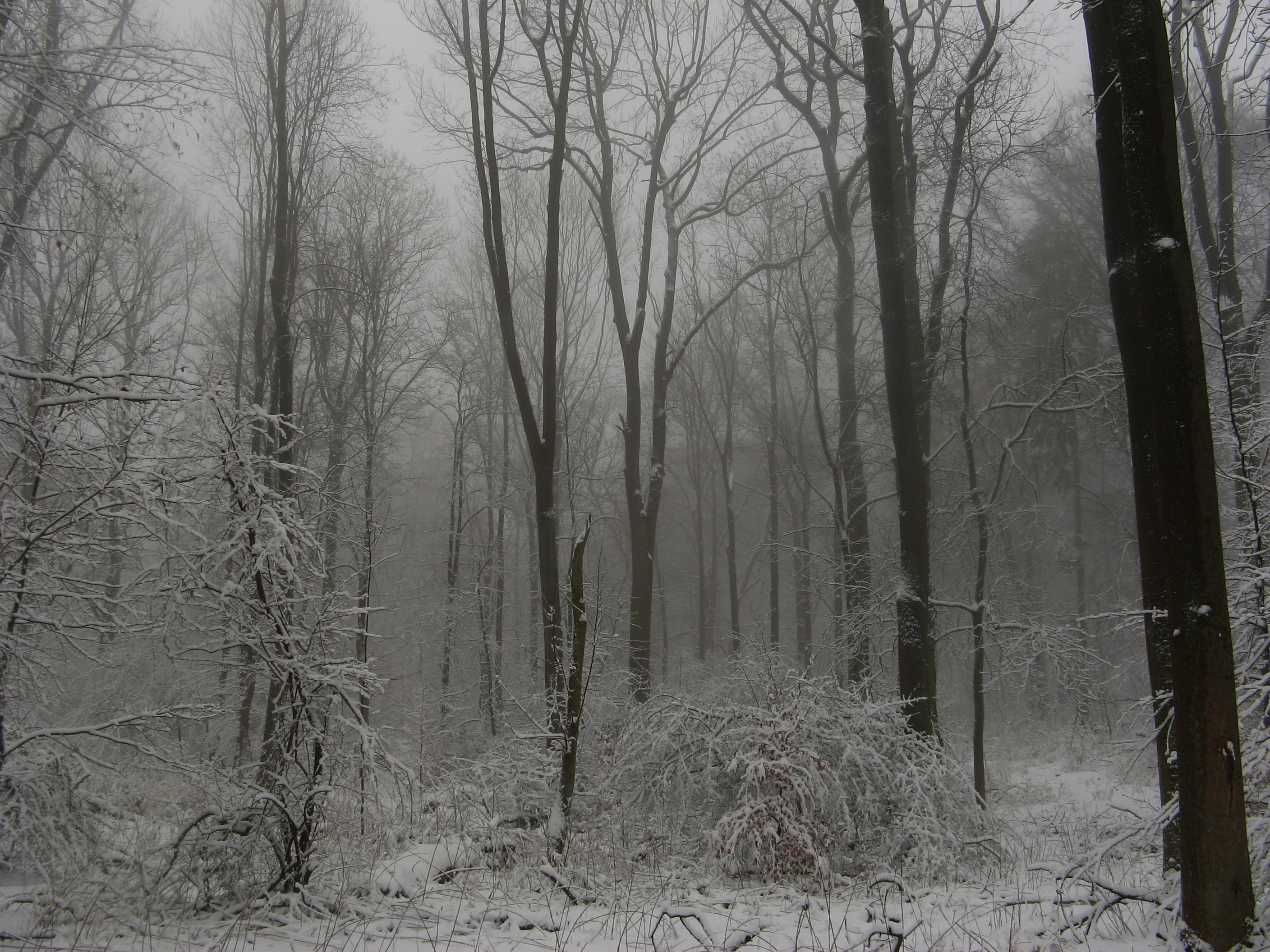 20070322082714.jpg