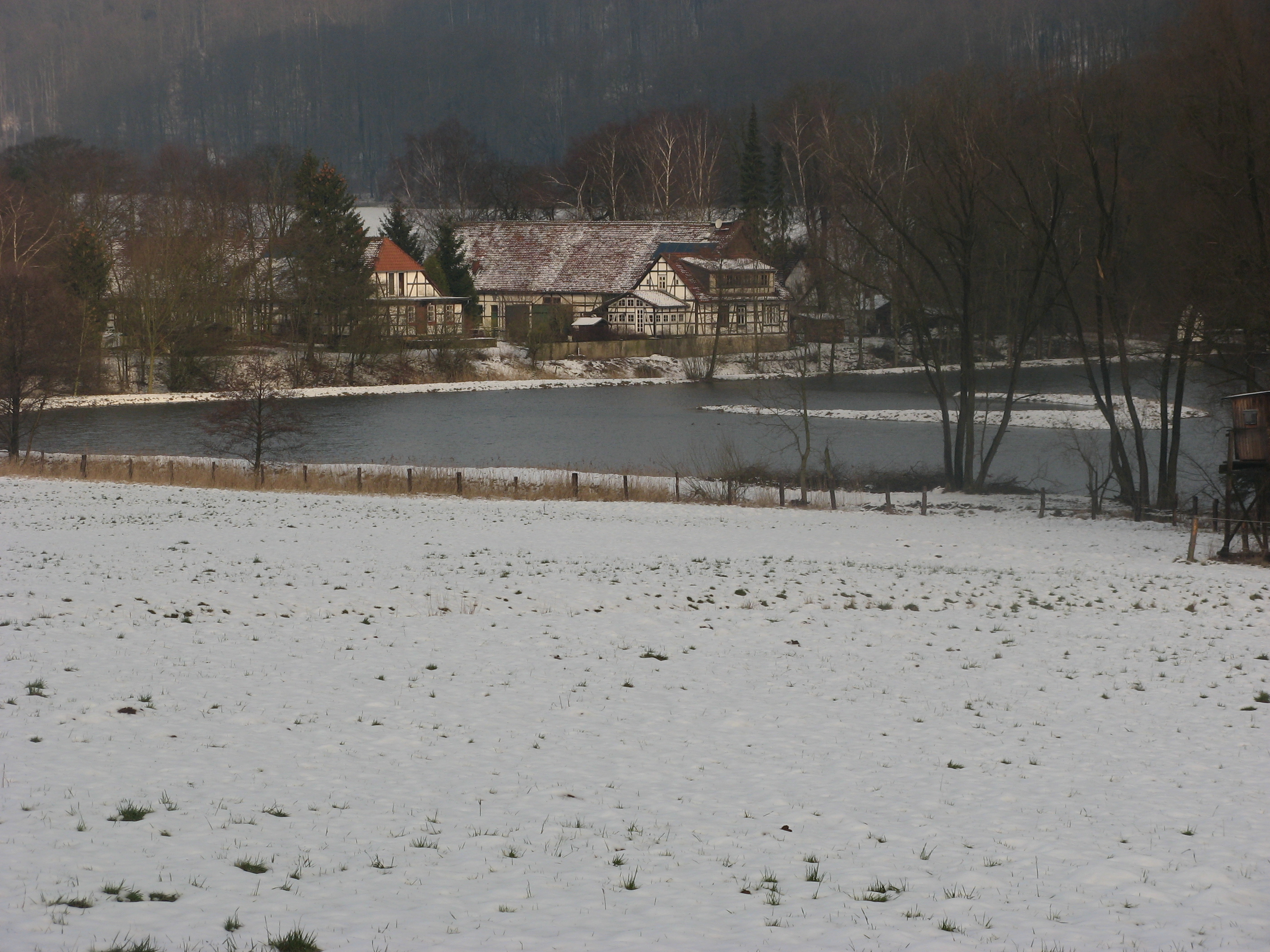 20070323081602.jpg