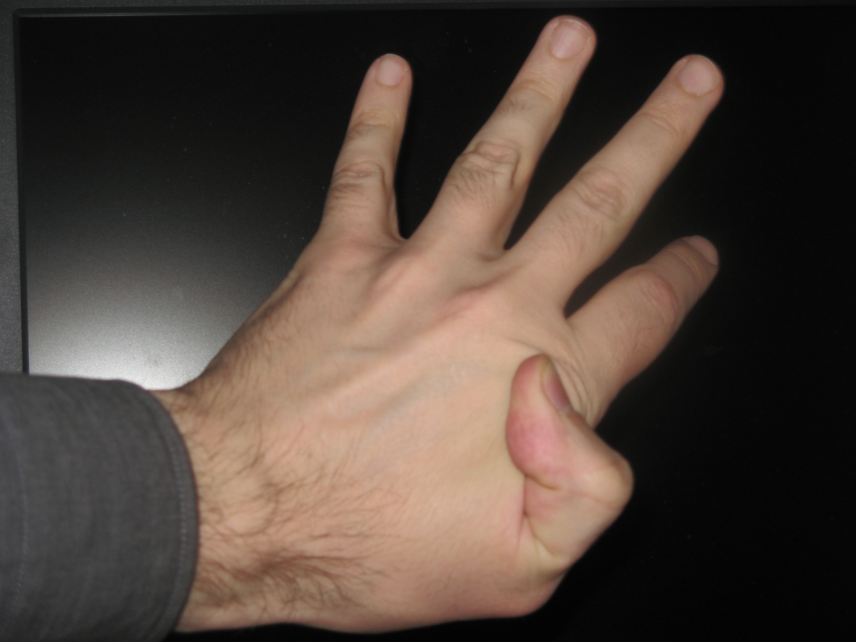20070323132621.jpg