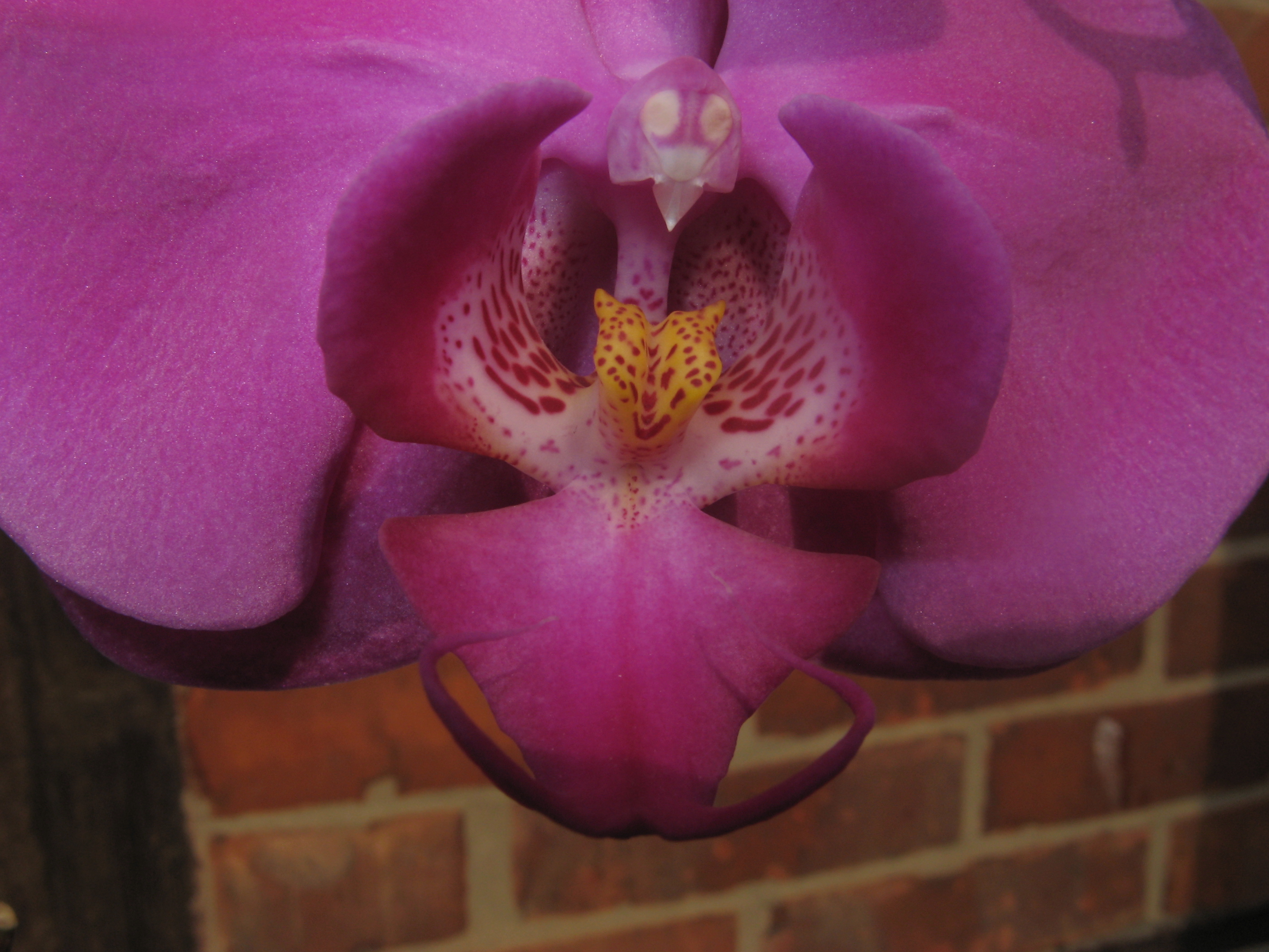 20070324124402.jpg