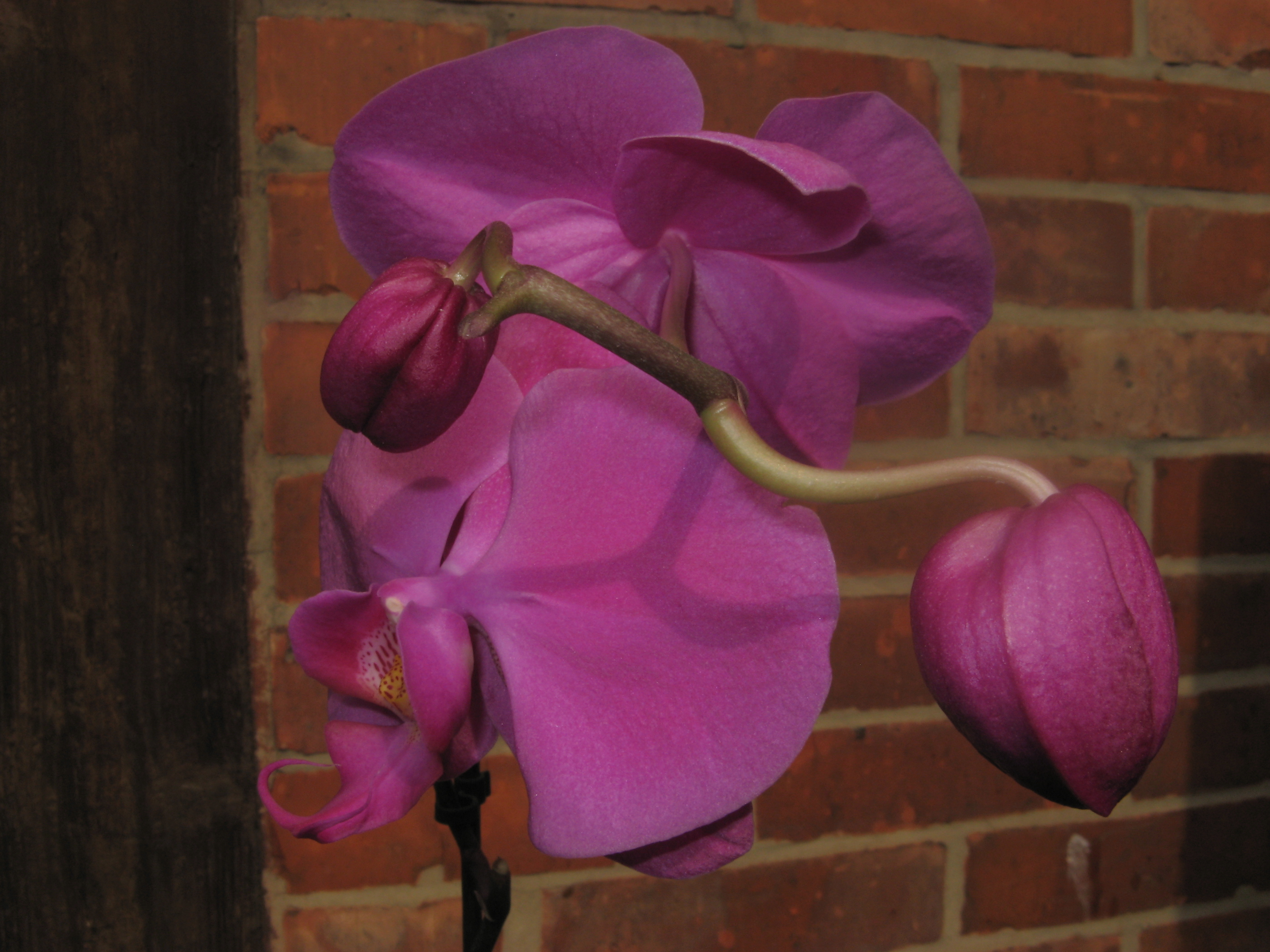 20070324124511.jpg