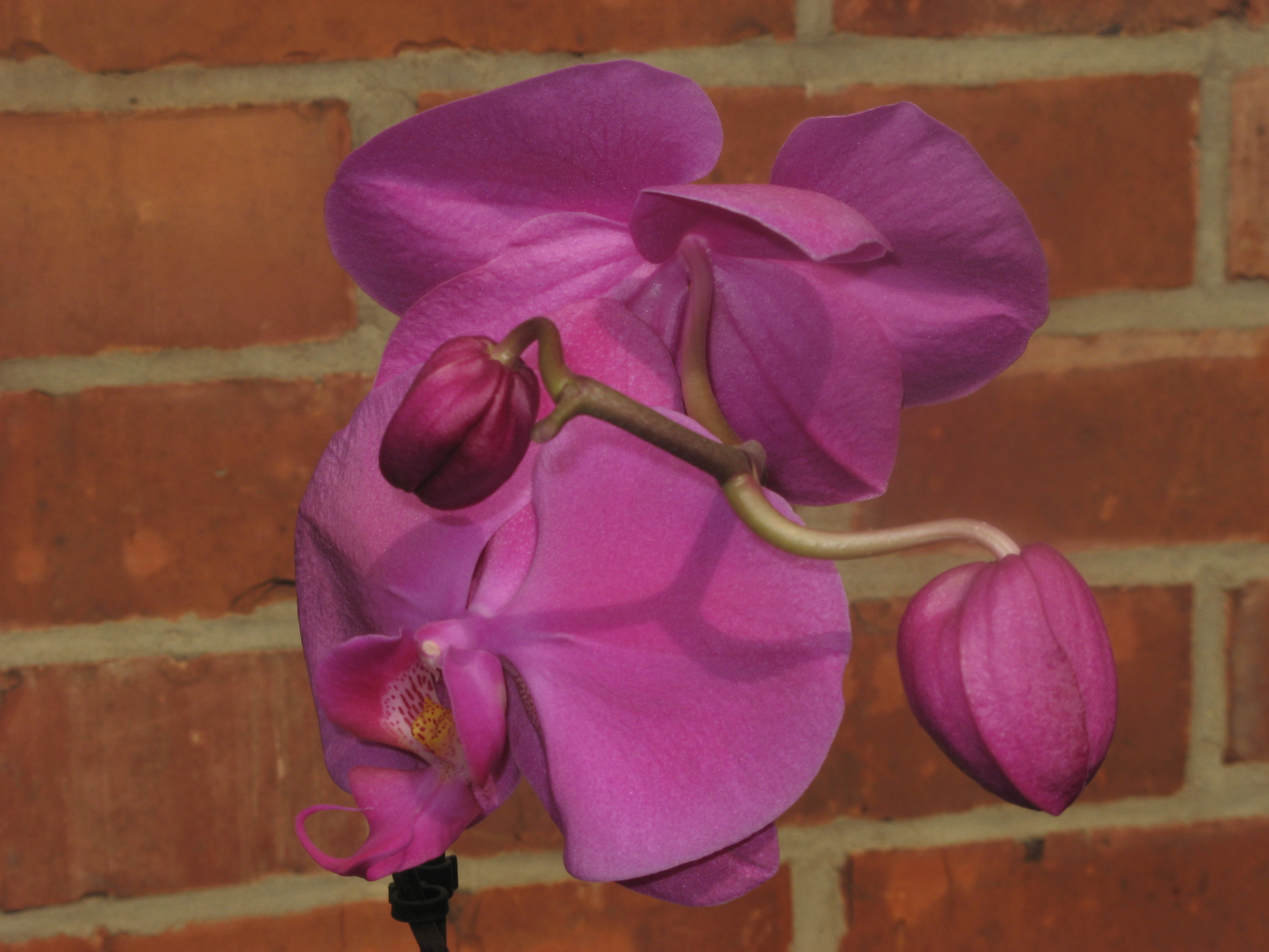 20070324124526.jpg