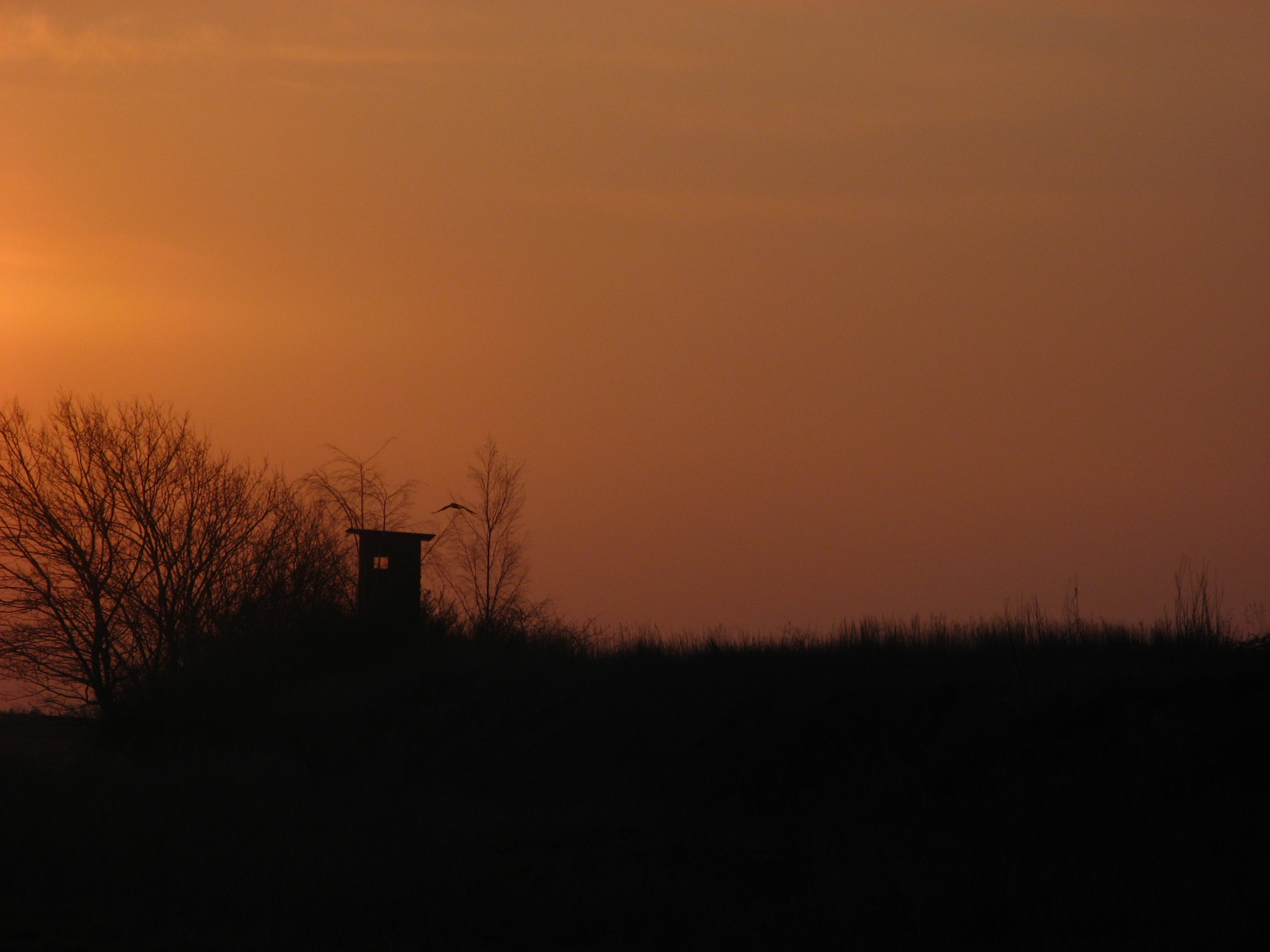 20070329072921.jpg