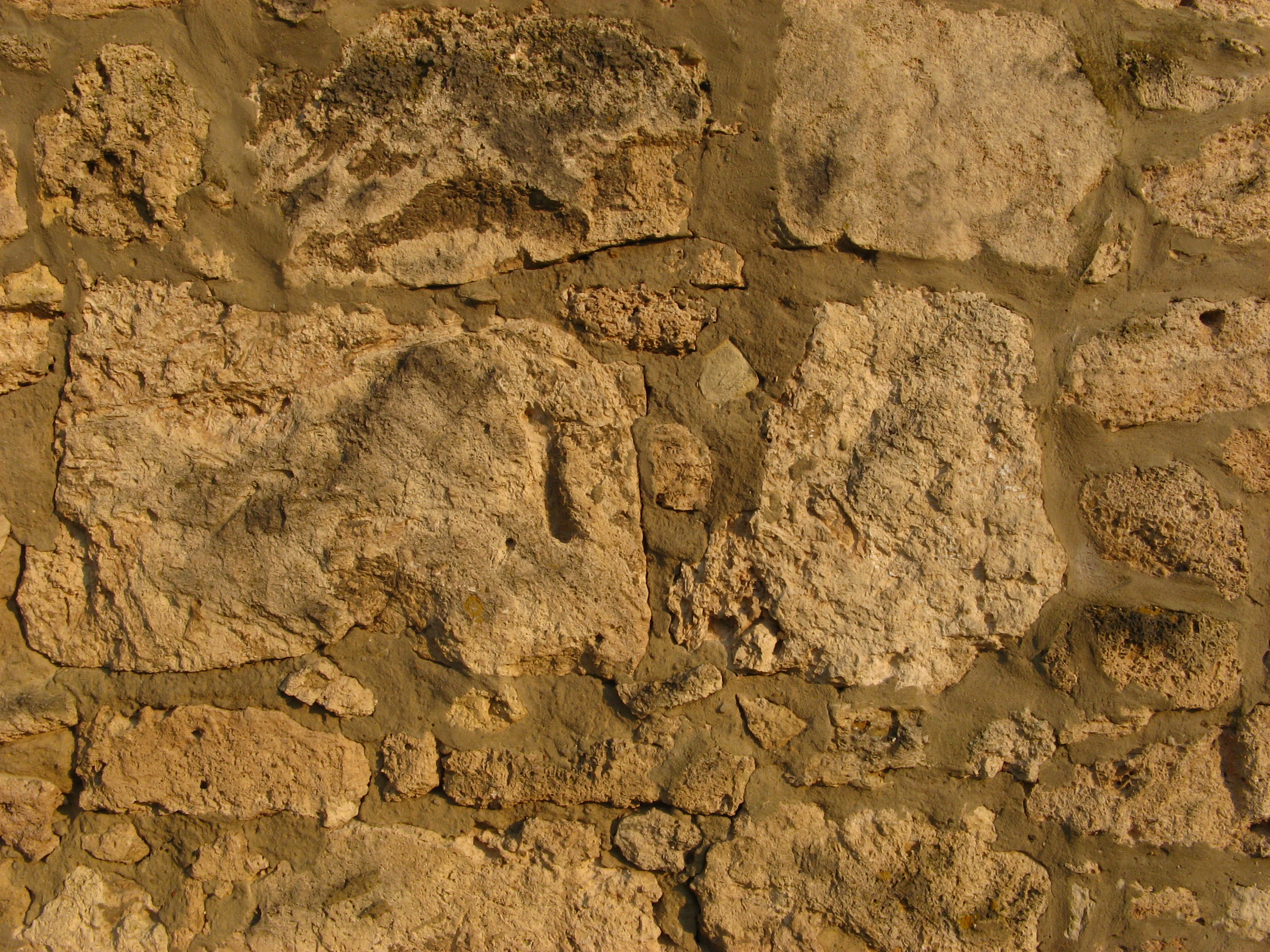 20070402085128.jpg