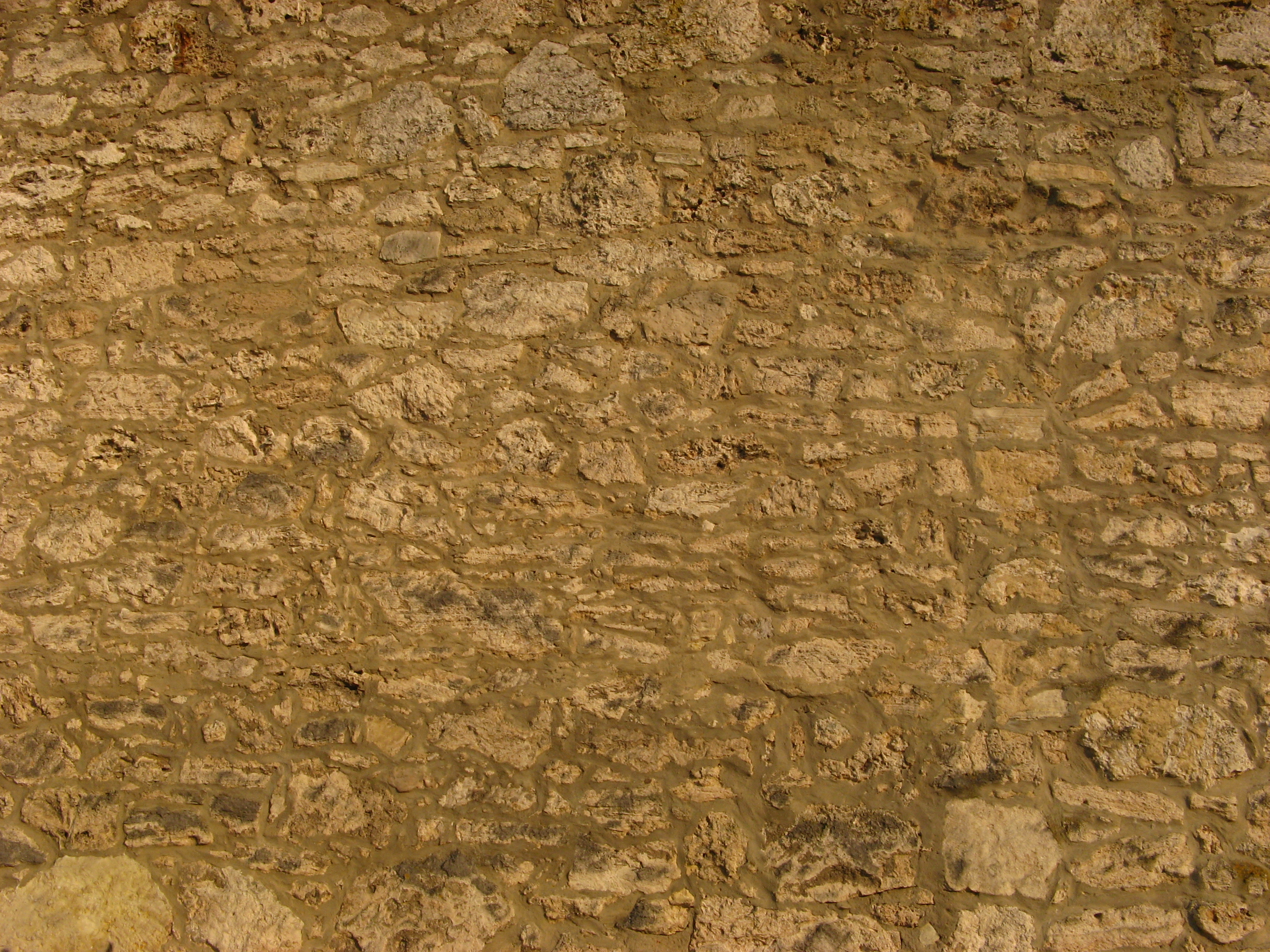 20070402085217.jpg