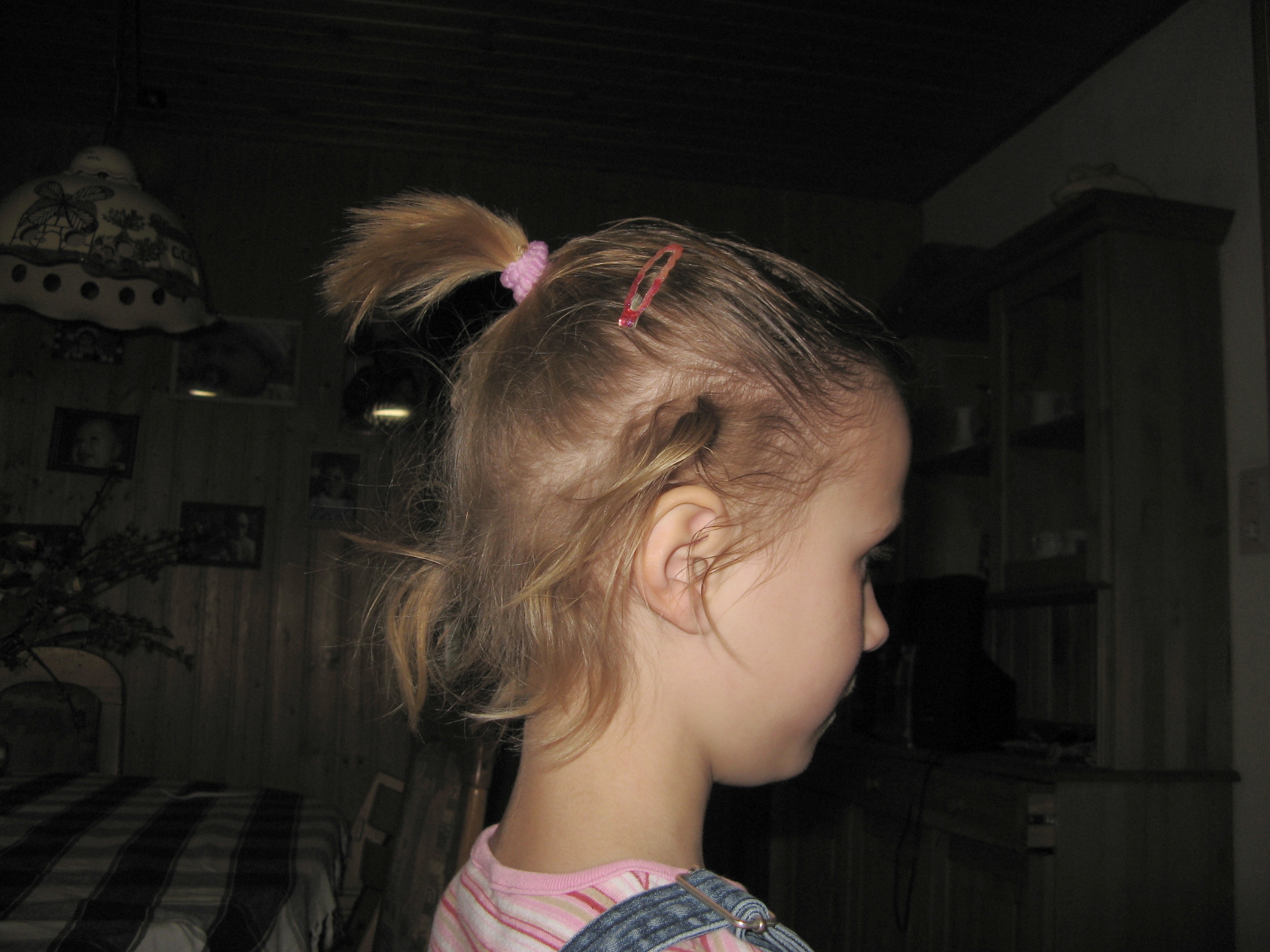 20070407192913.jpg
