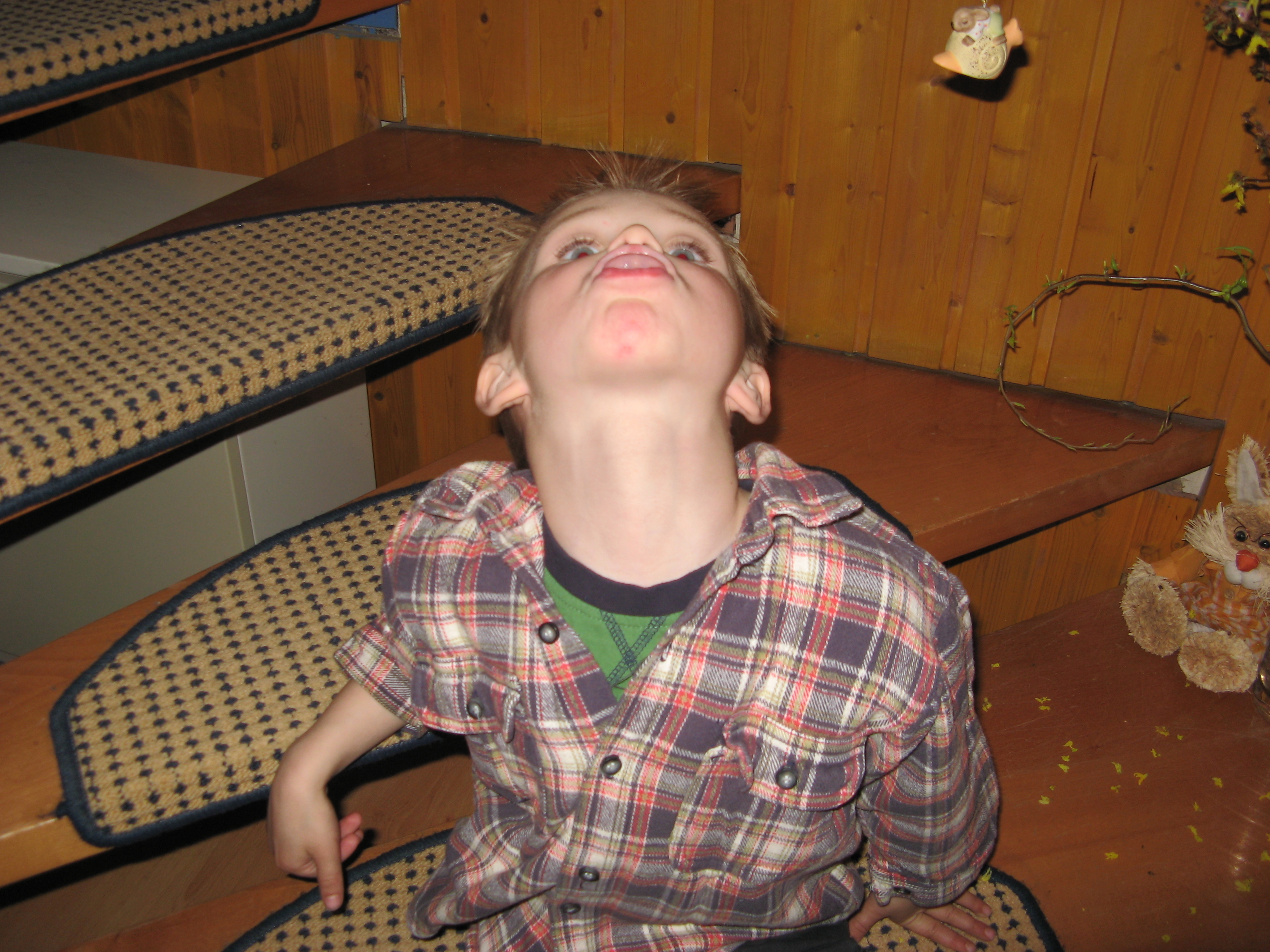 20070407193326.jpg