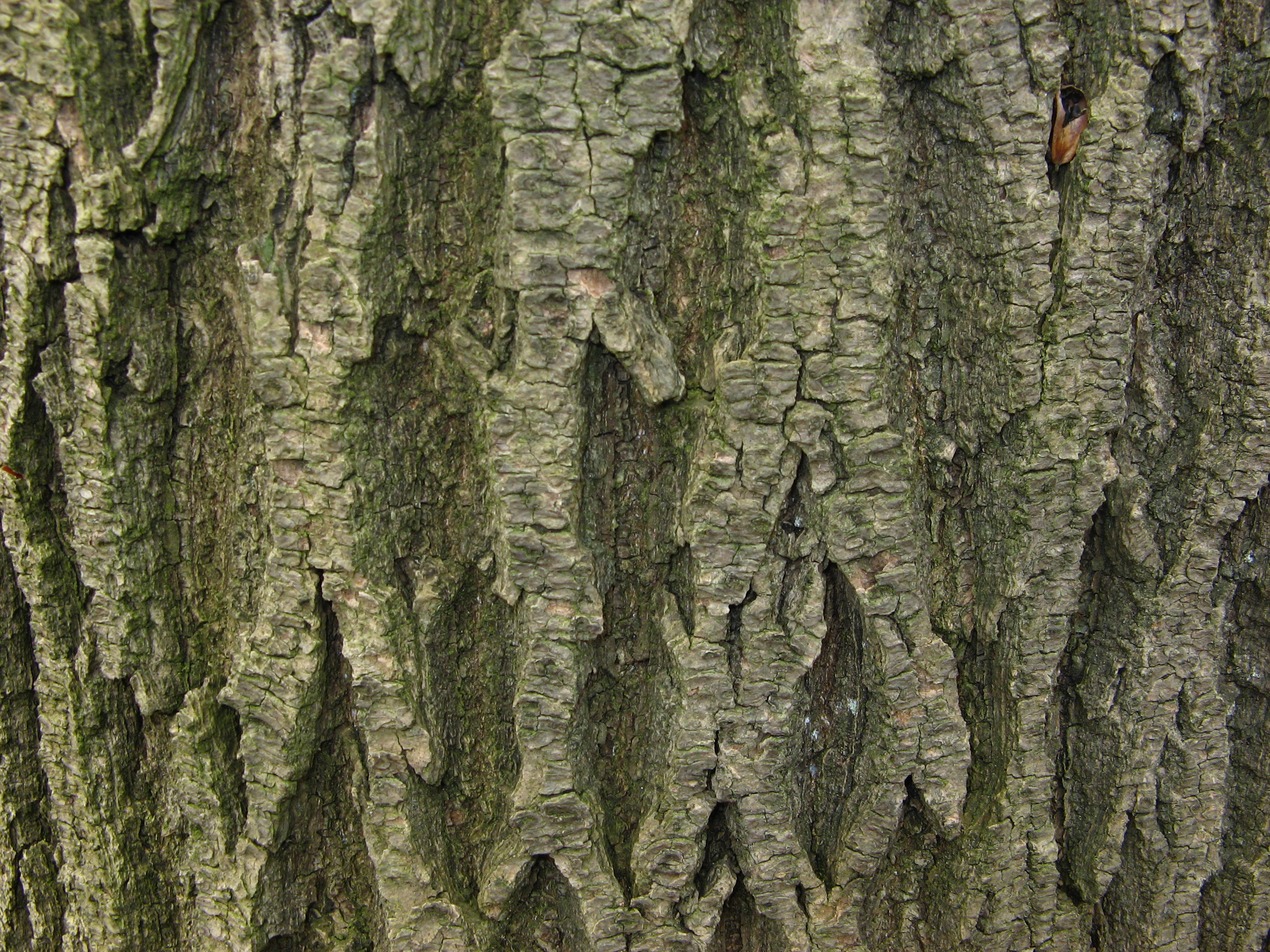 20070409160455.jpg