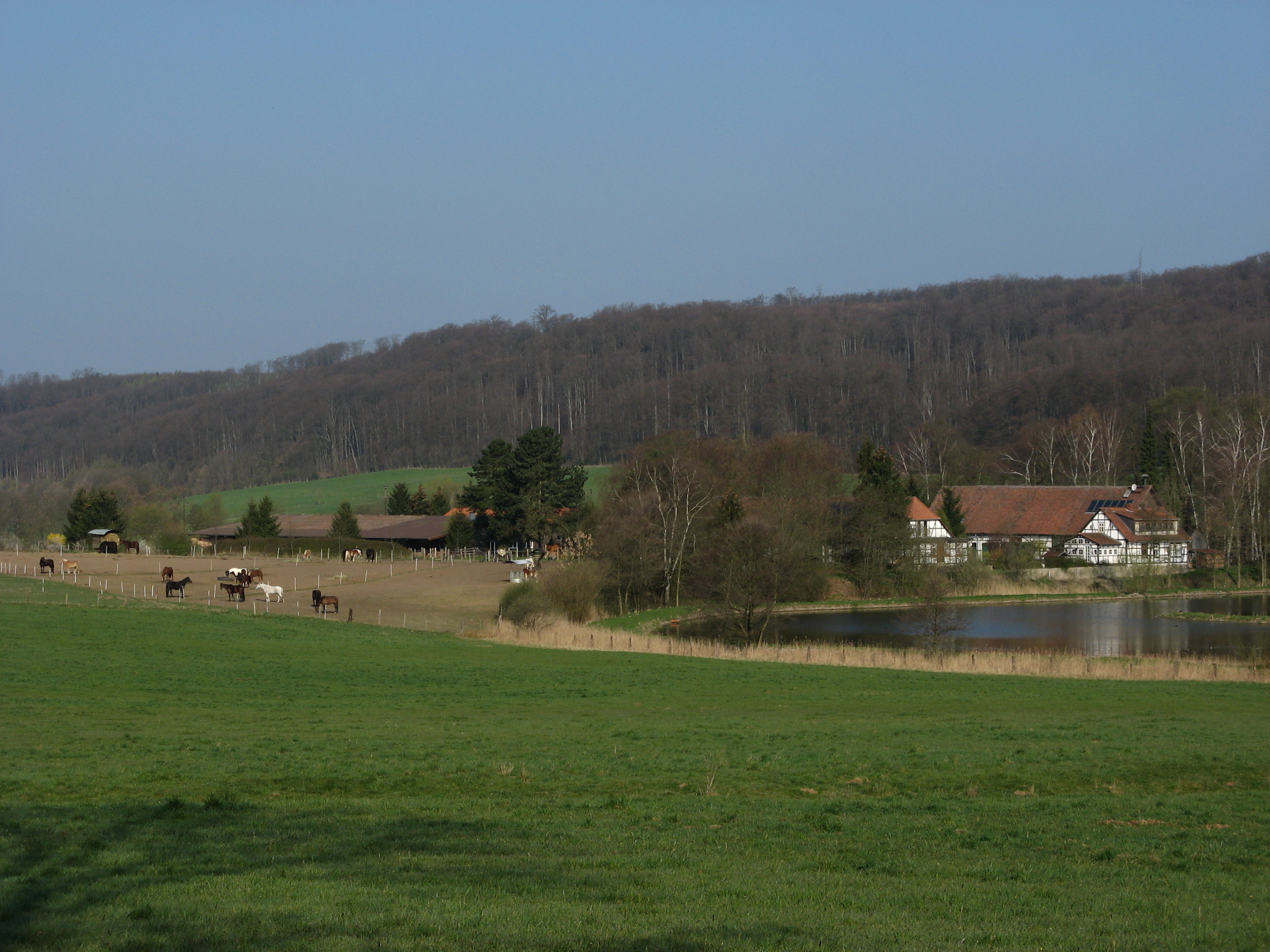 20070412090902.jpg
