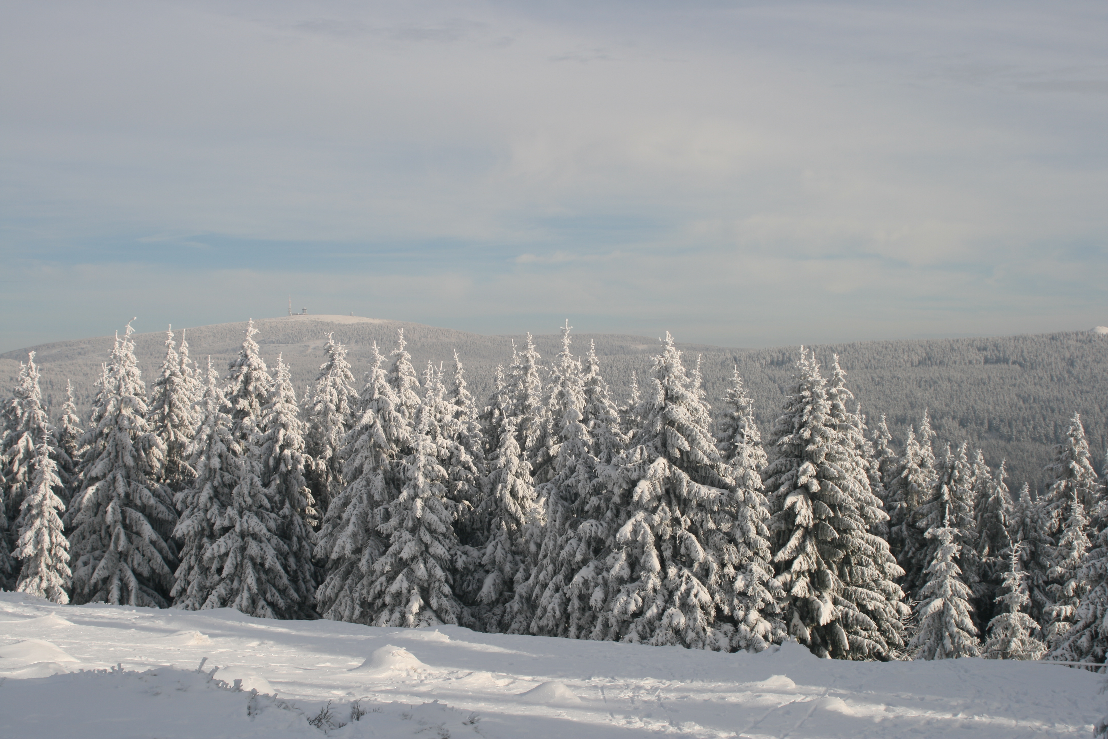 20080104114431.jpg