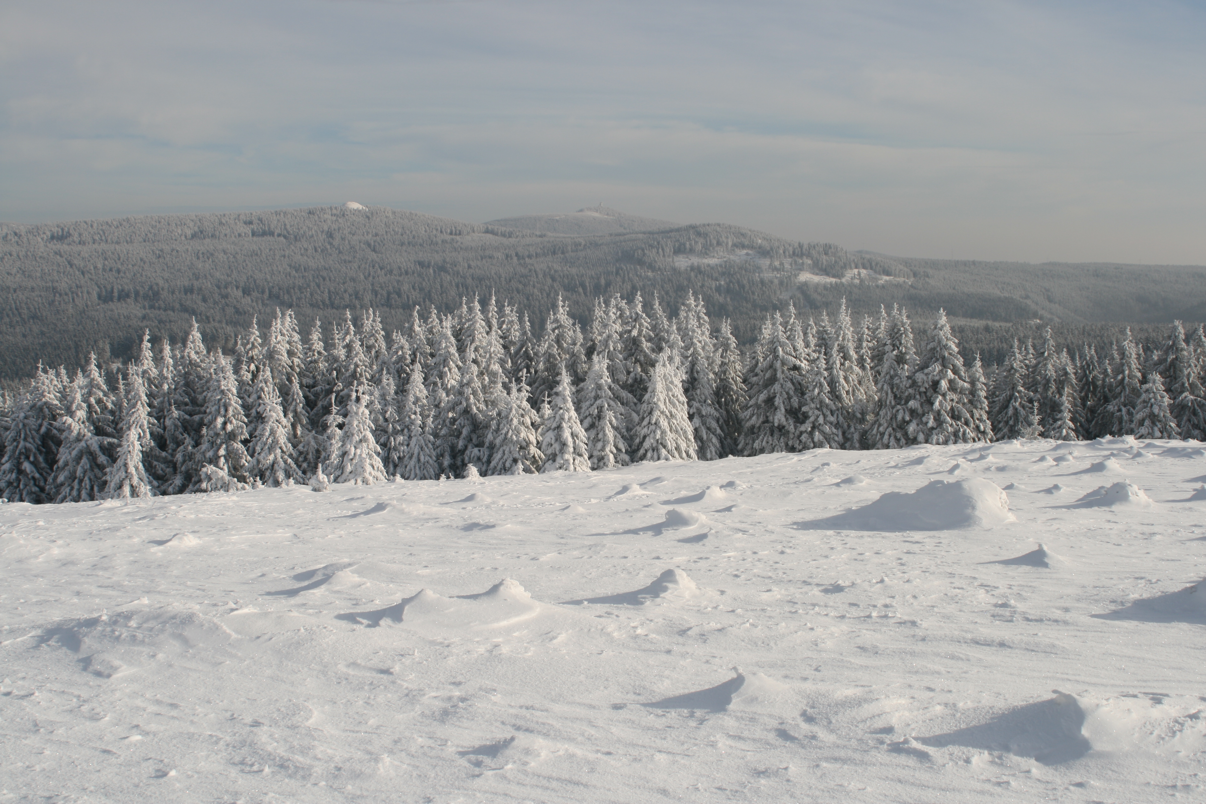 20080104114727.jpg