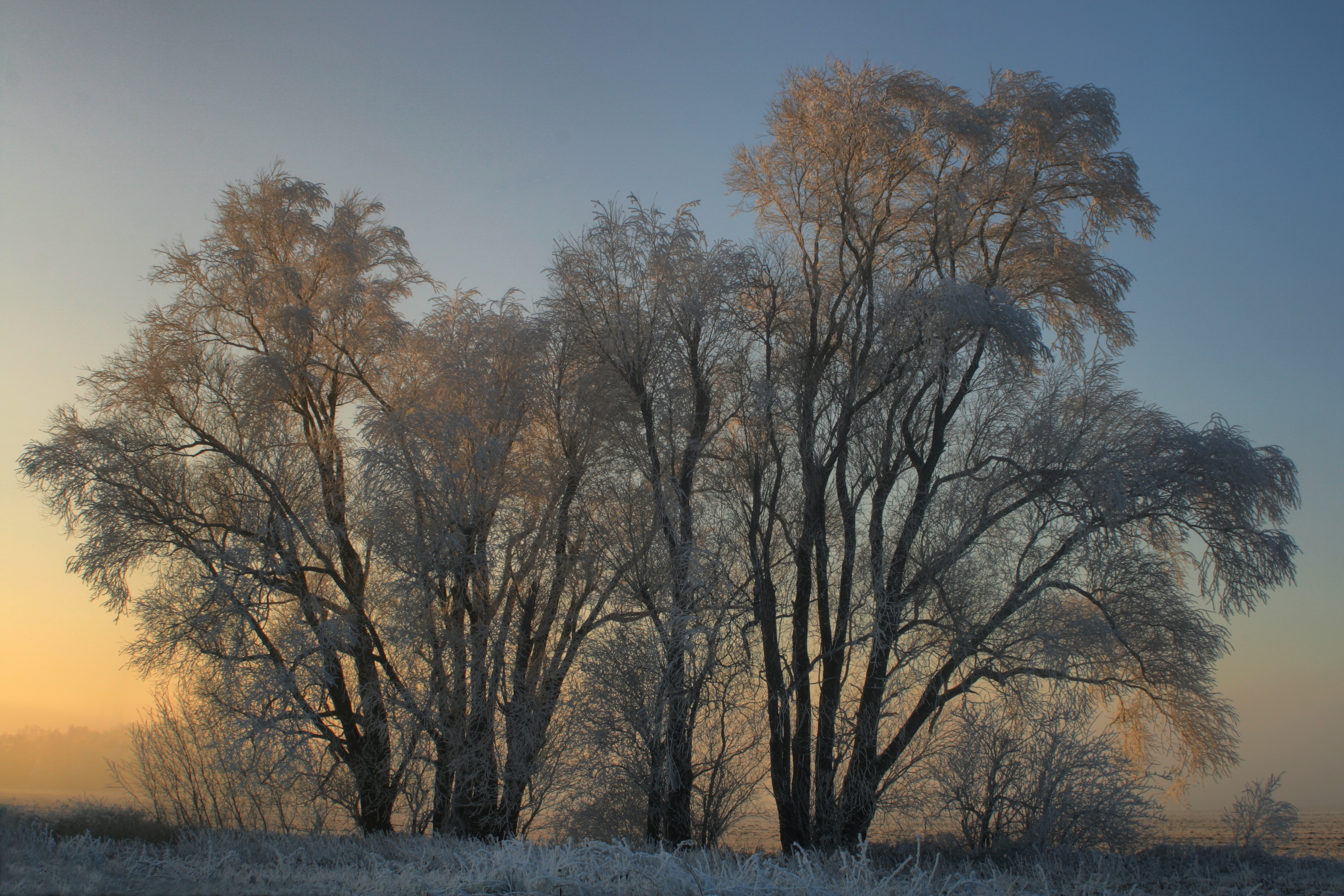 20080107082900-14.jpg