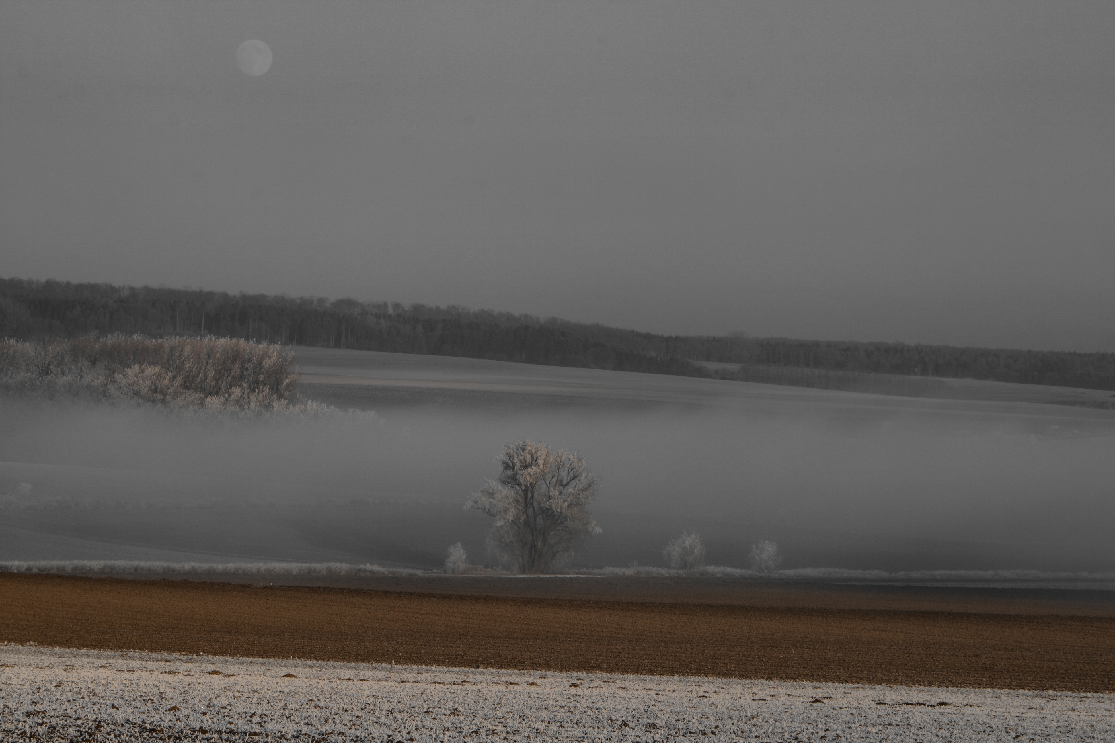 20080107082900-17.jpg