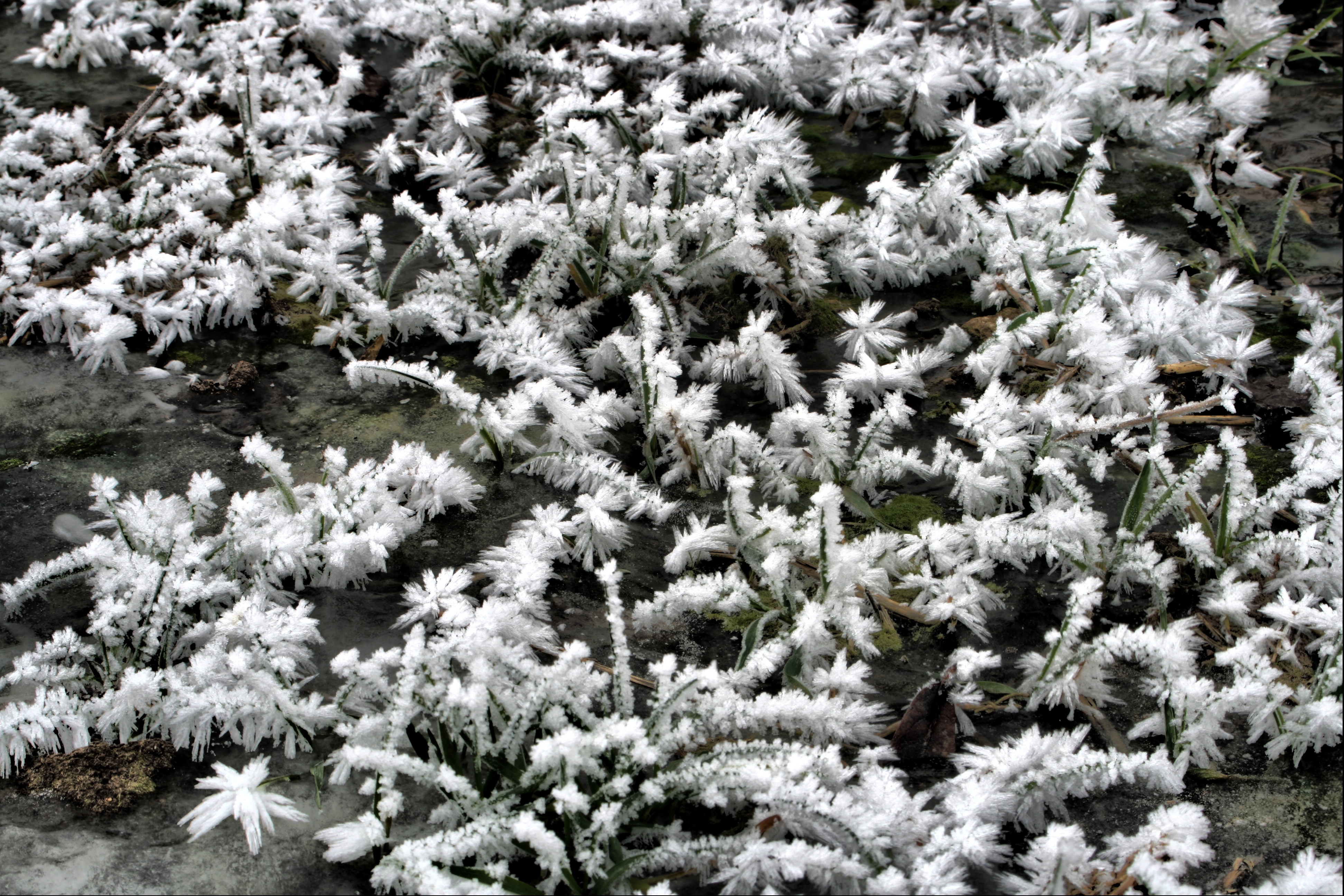 20080107082900-18.jpg