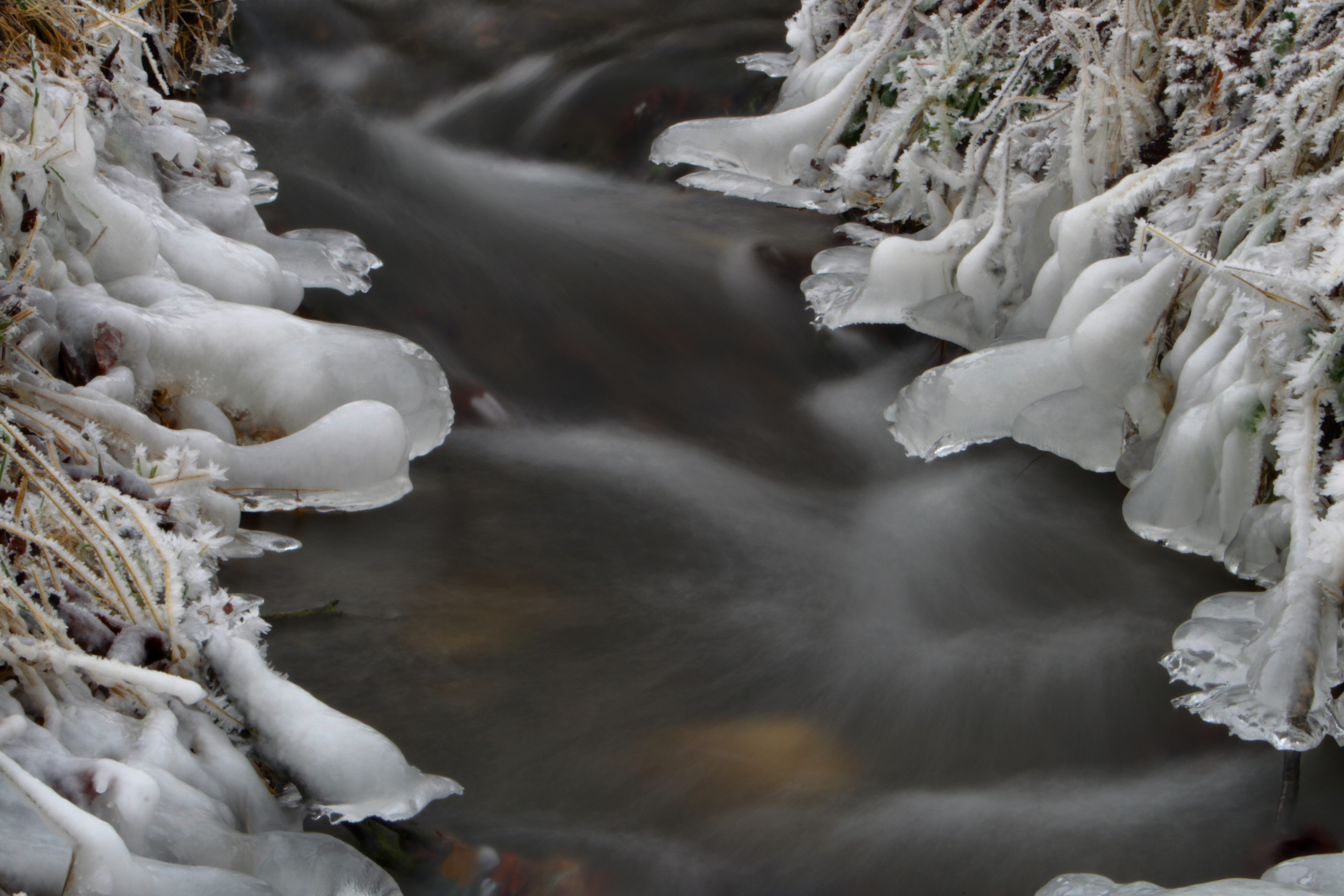 20080107082900-20.jpg