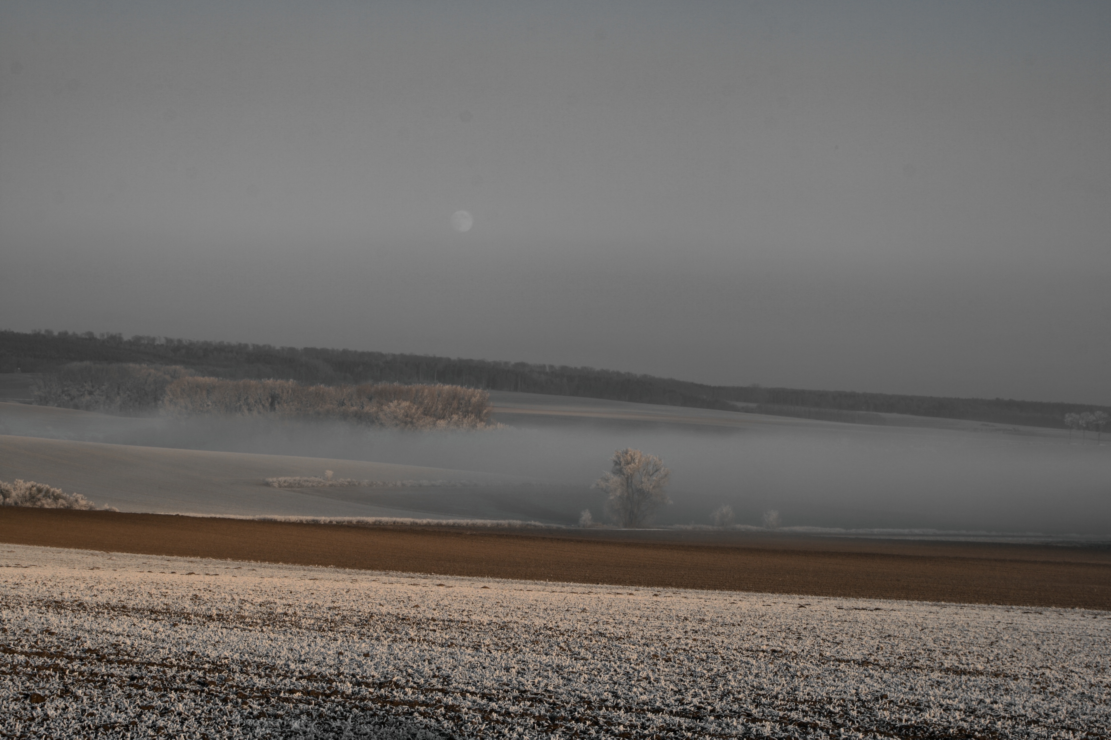 20080107082900-22.jpg