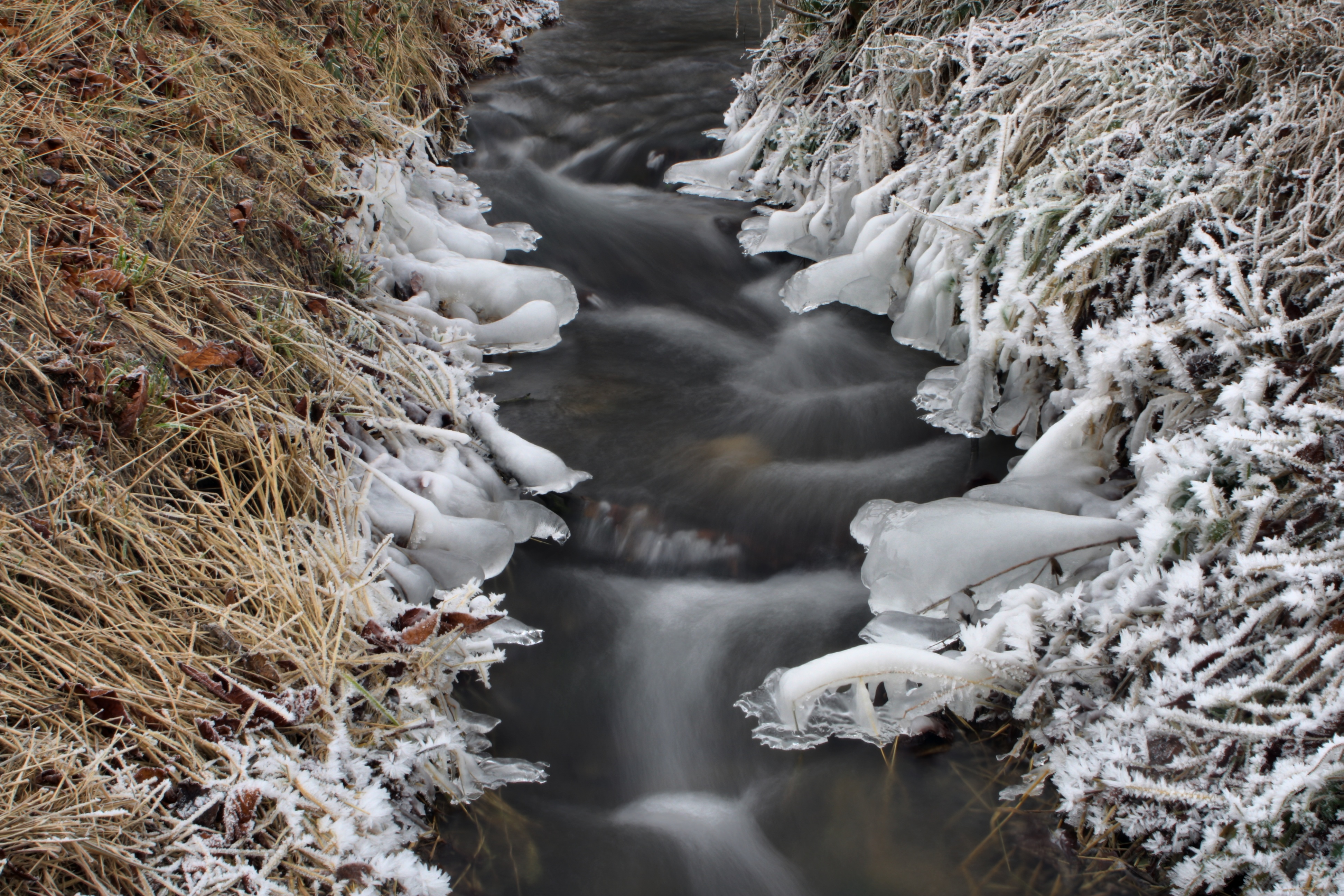 20080107082900-23.jpg