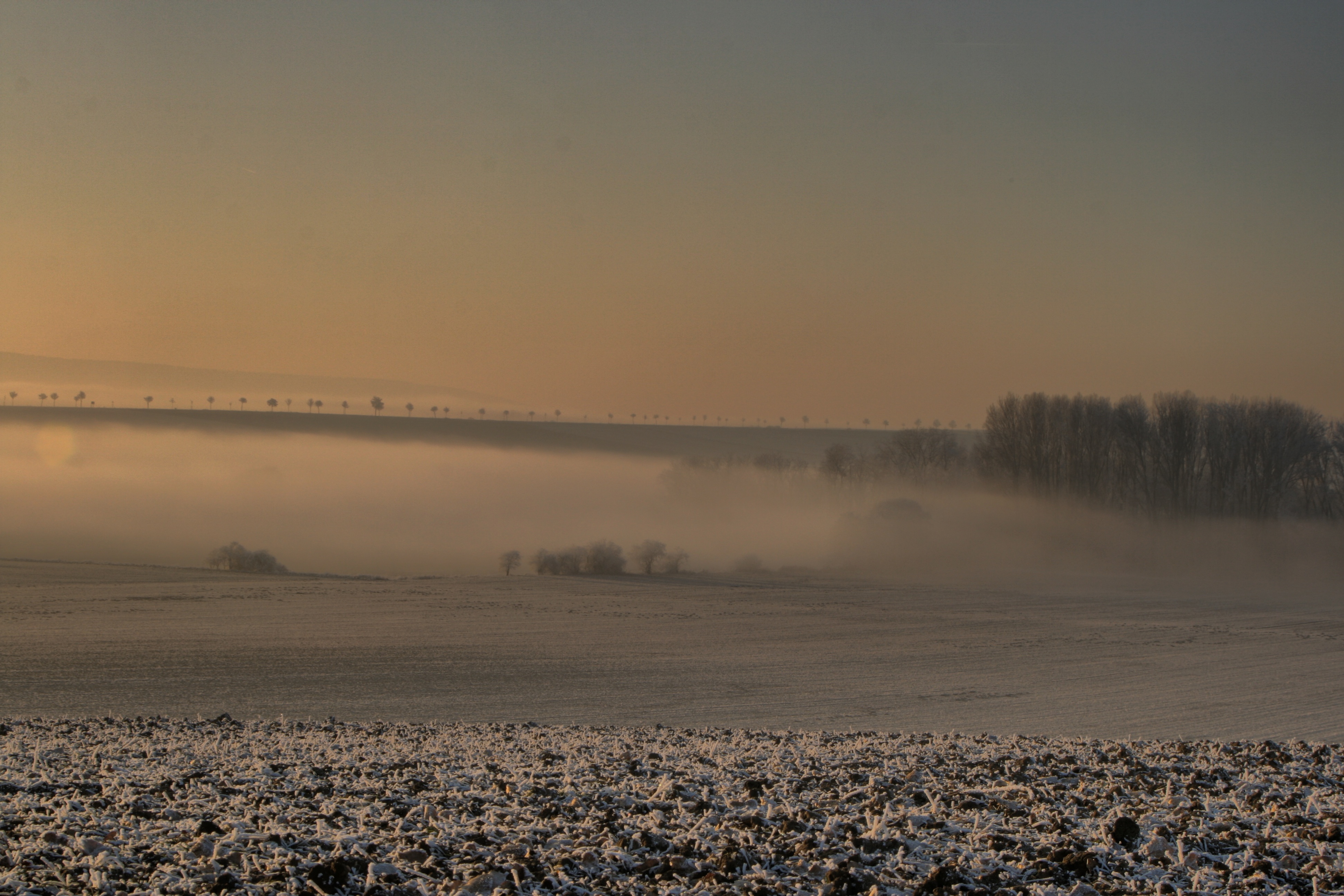 20080107082900-24.jpg