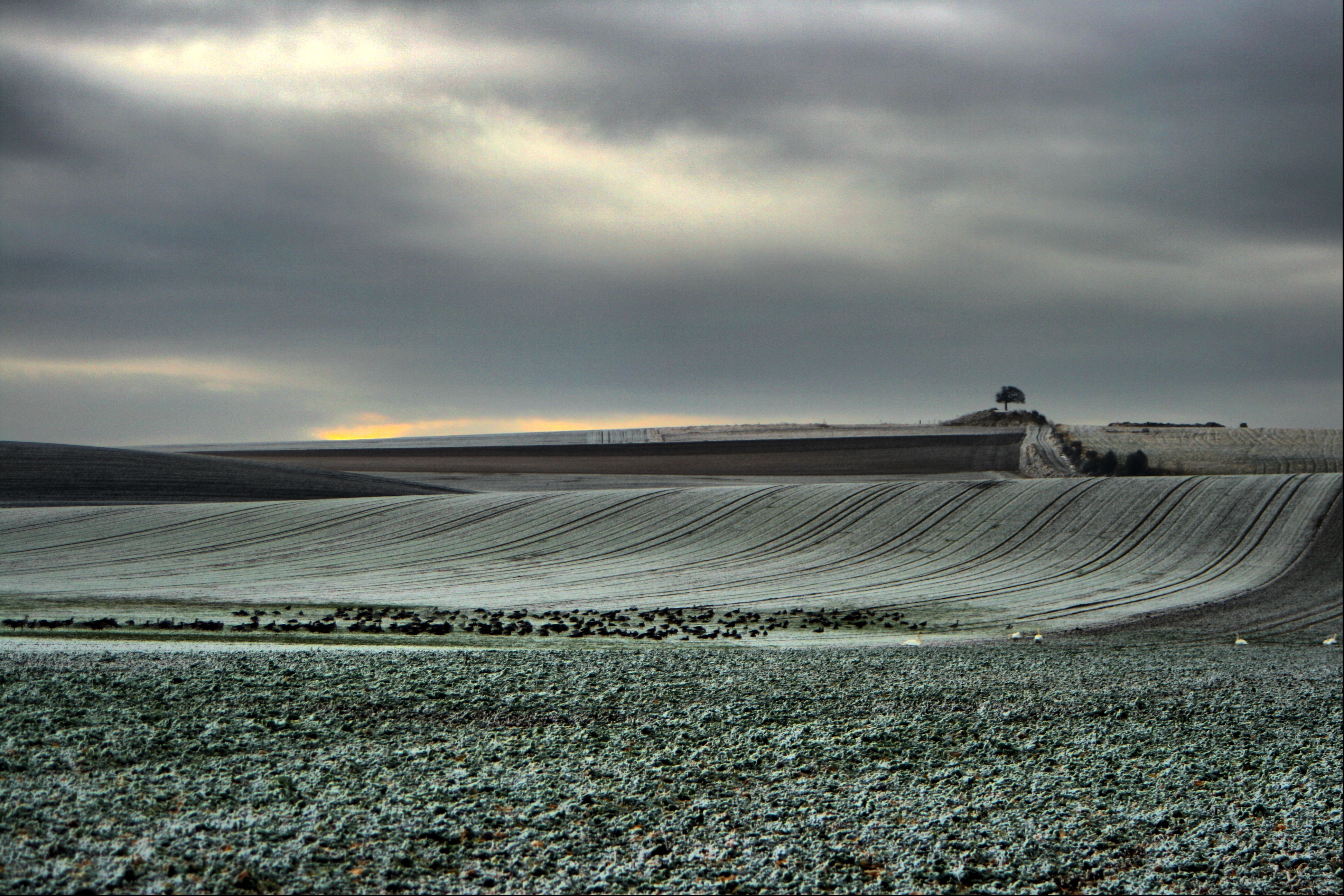 20080107082900-25.jpg