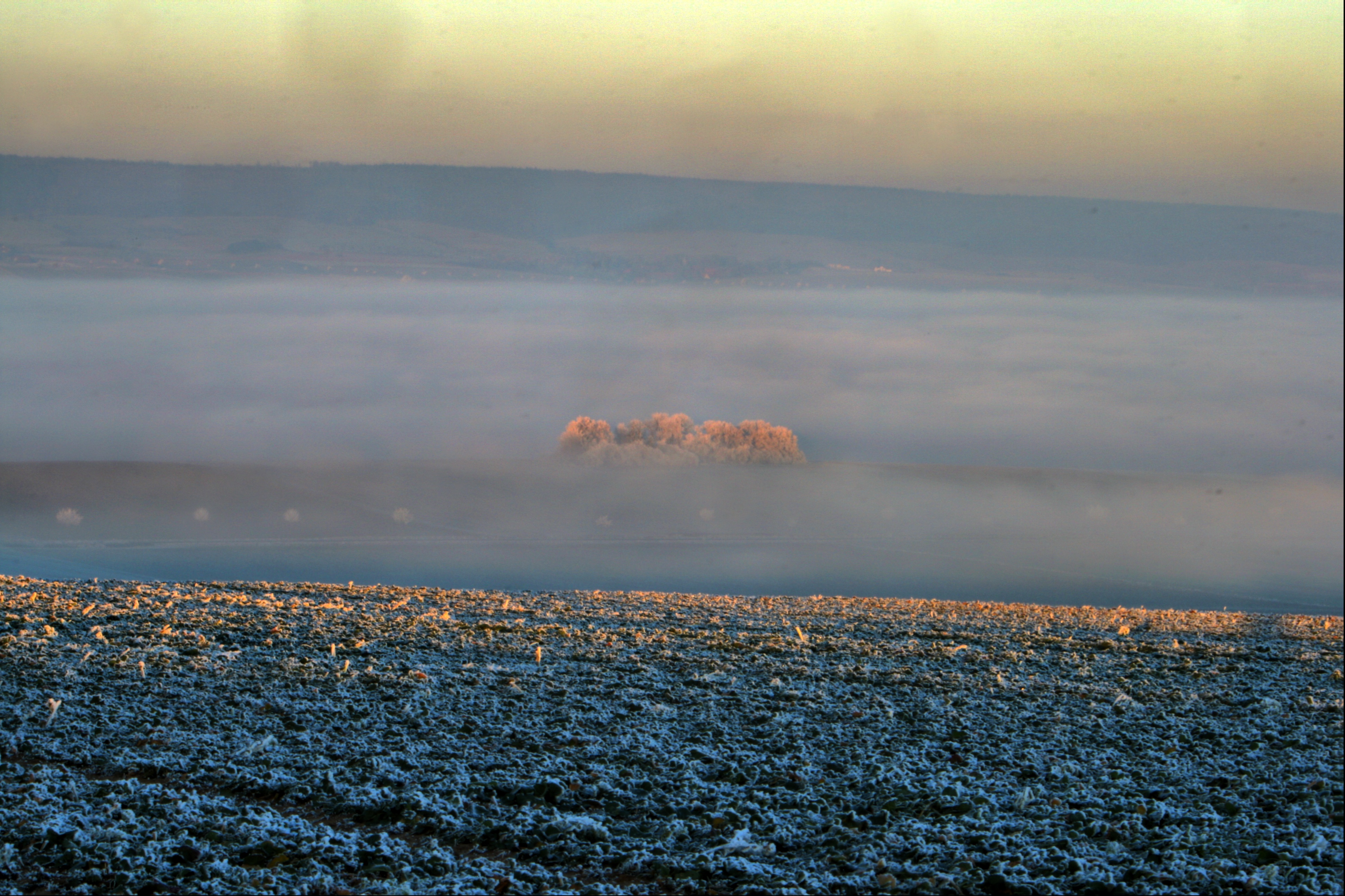 20080107082900-5.jpg