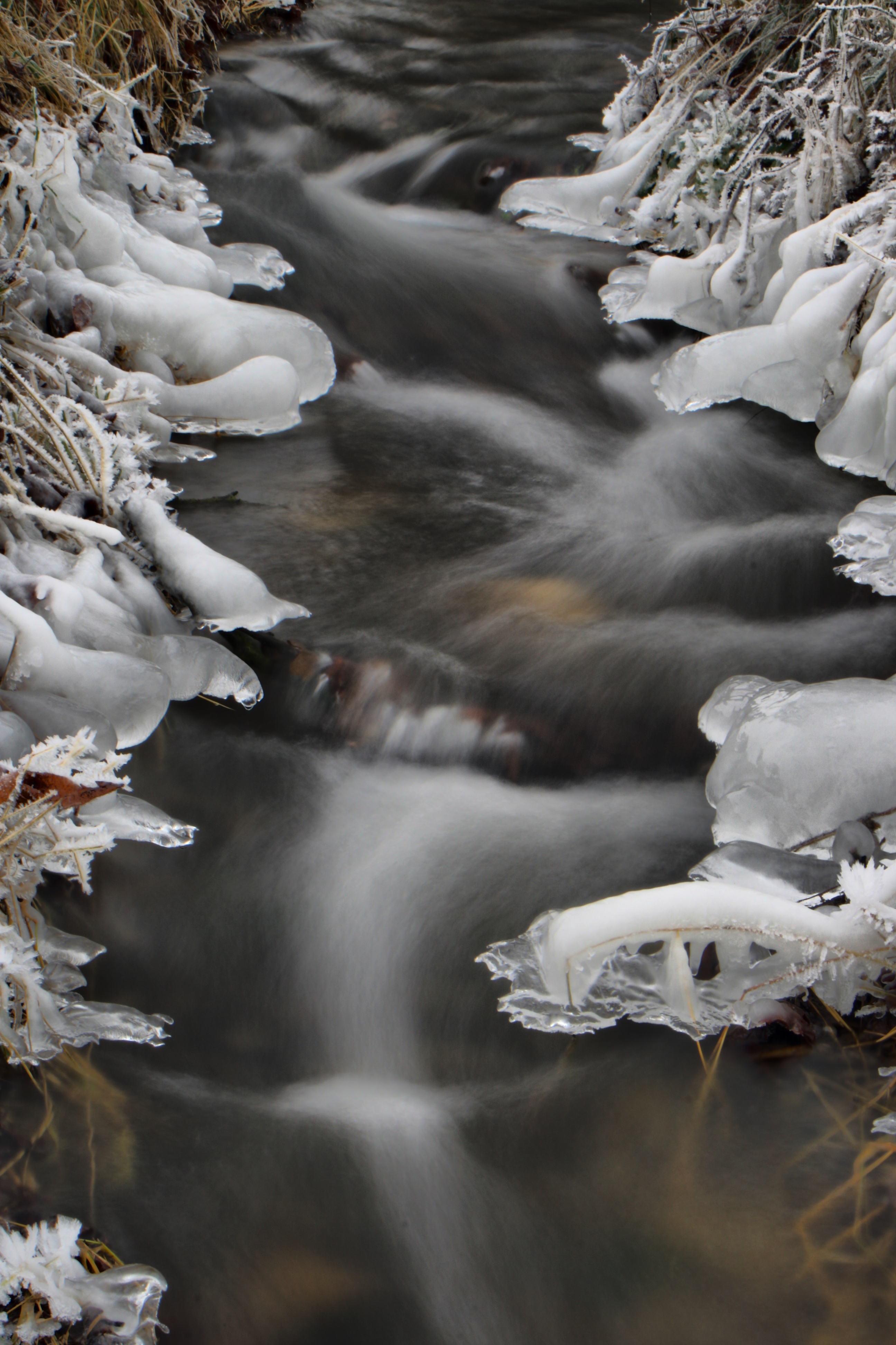 20080107082900-7.jpg