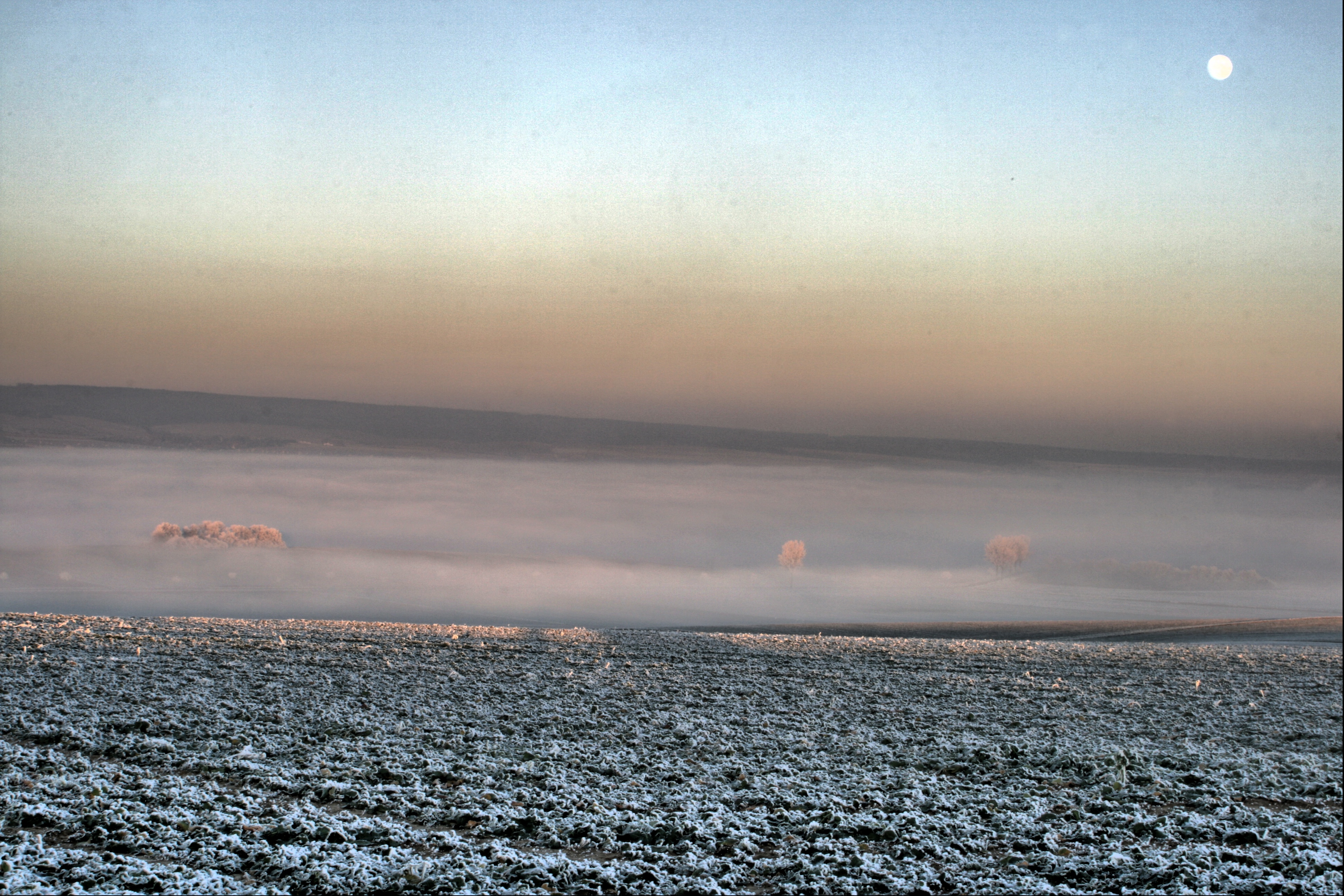 20080107082900-8.jpg