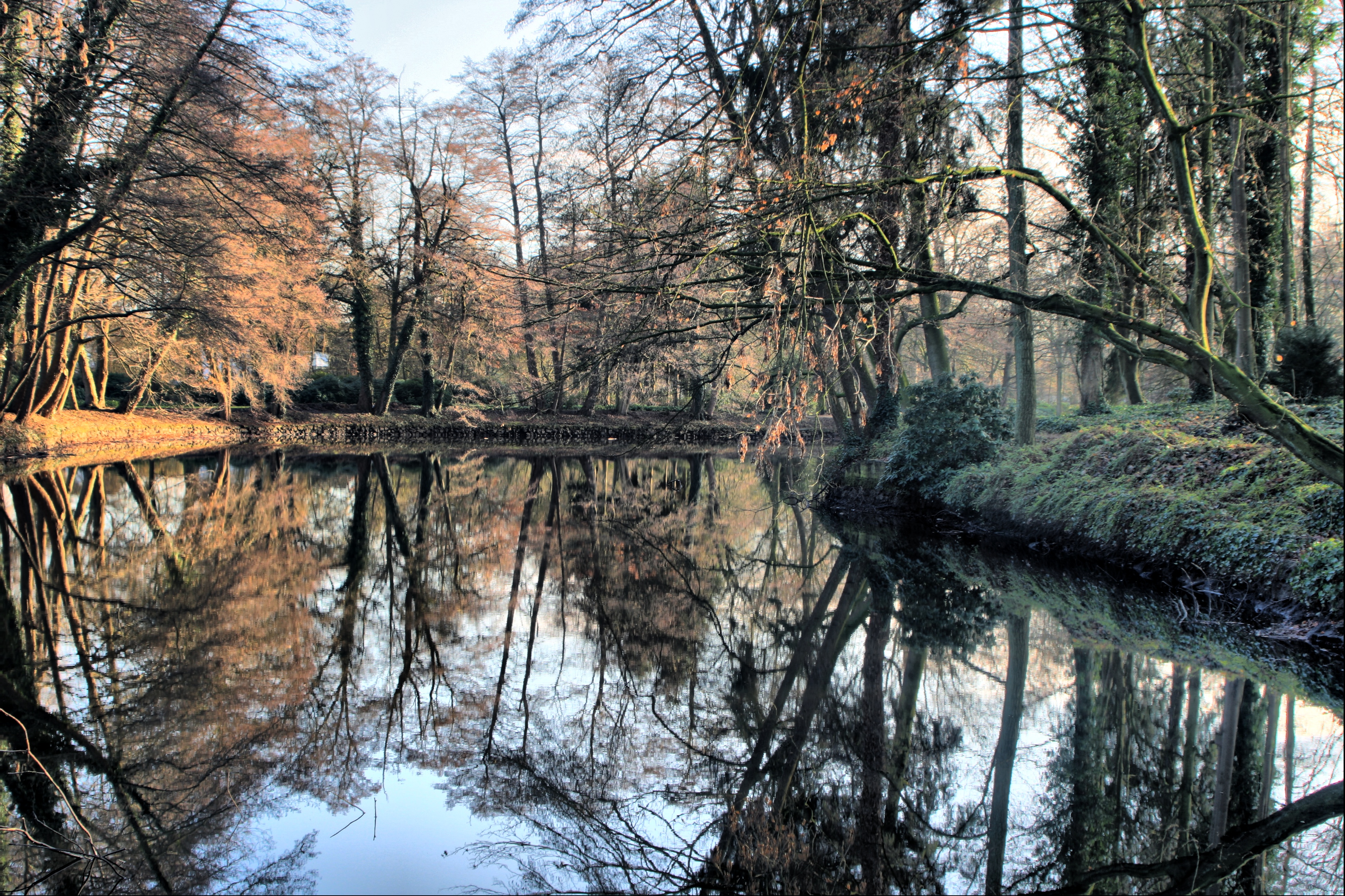 20080112090700-14.jpg