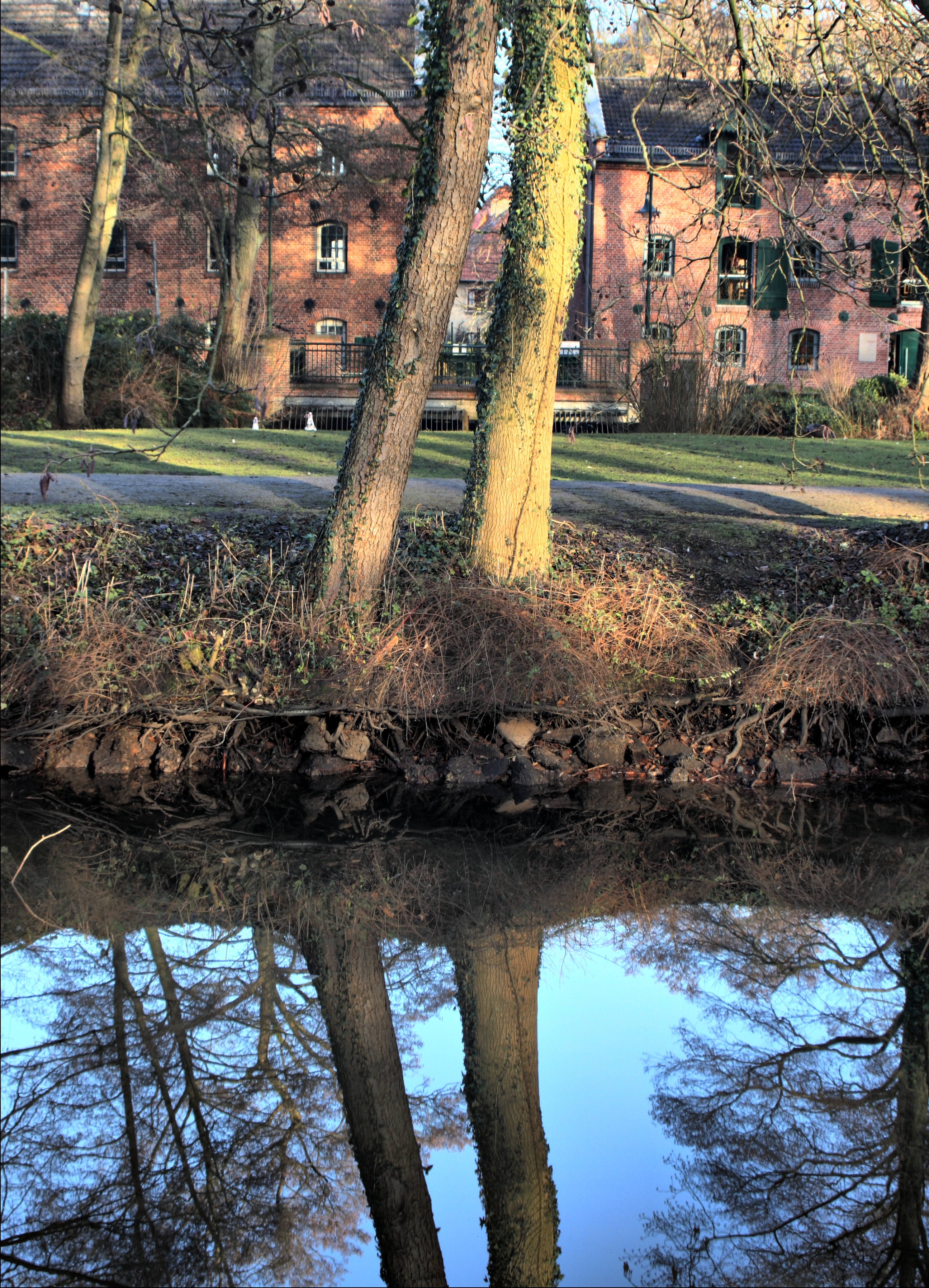 20080112090700-5.jpg