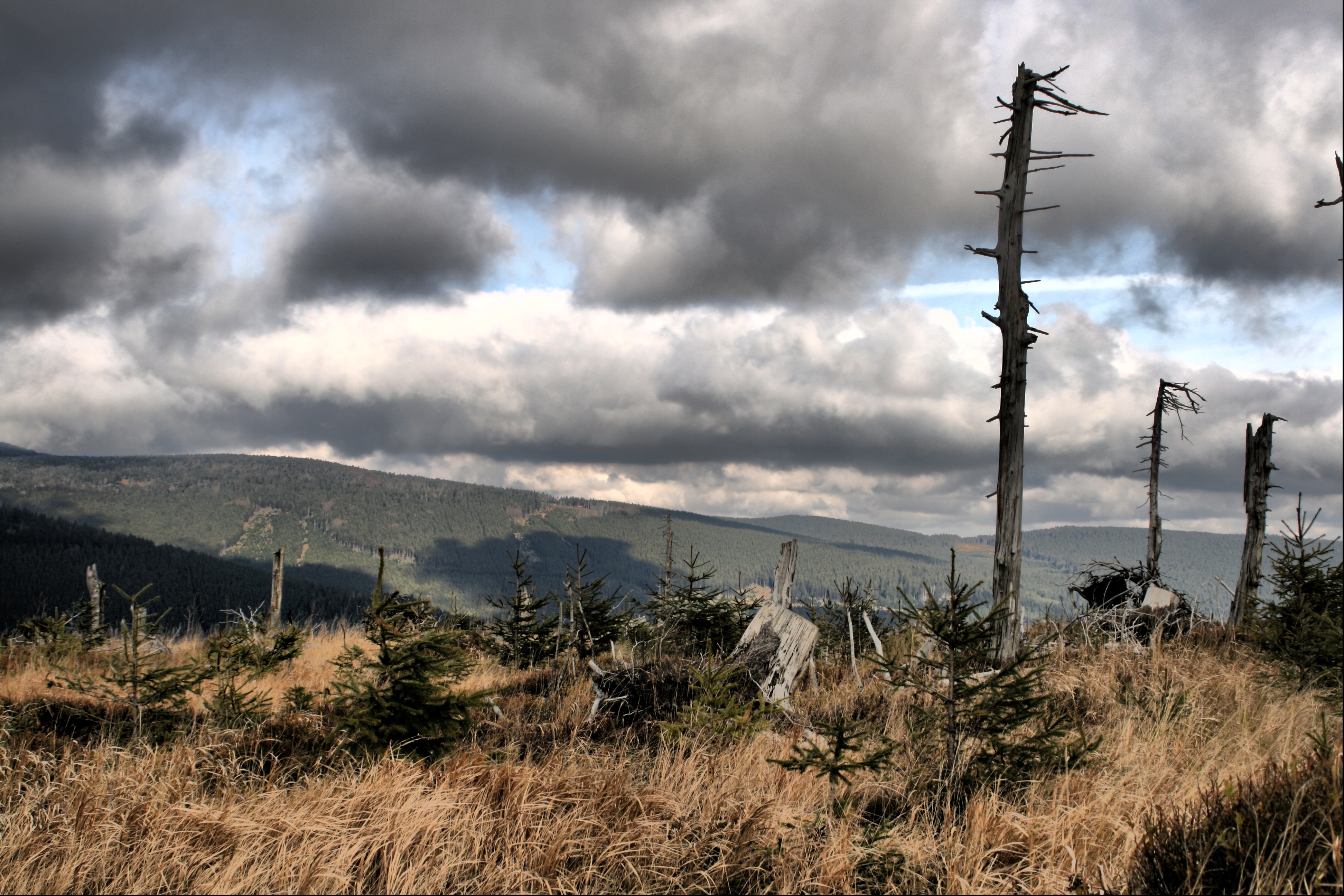 20080116192000-10.jpg