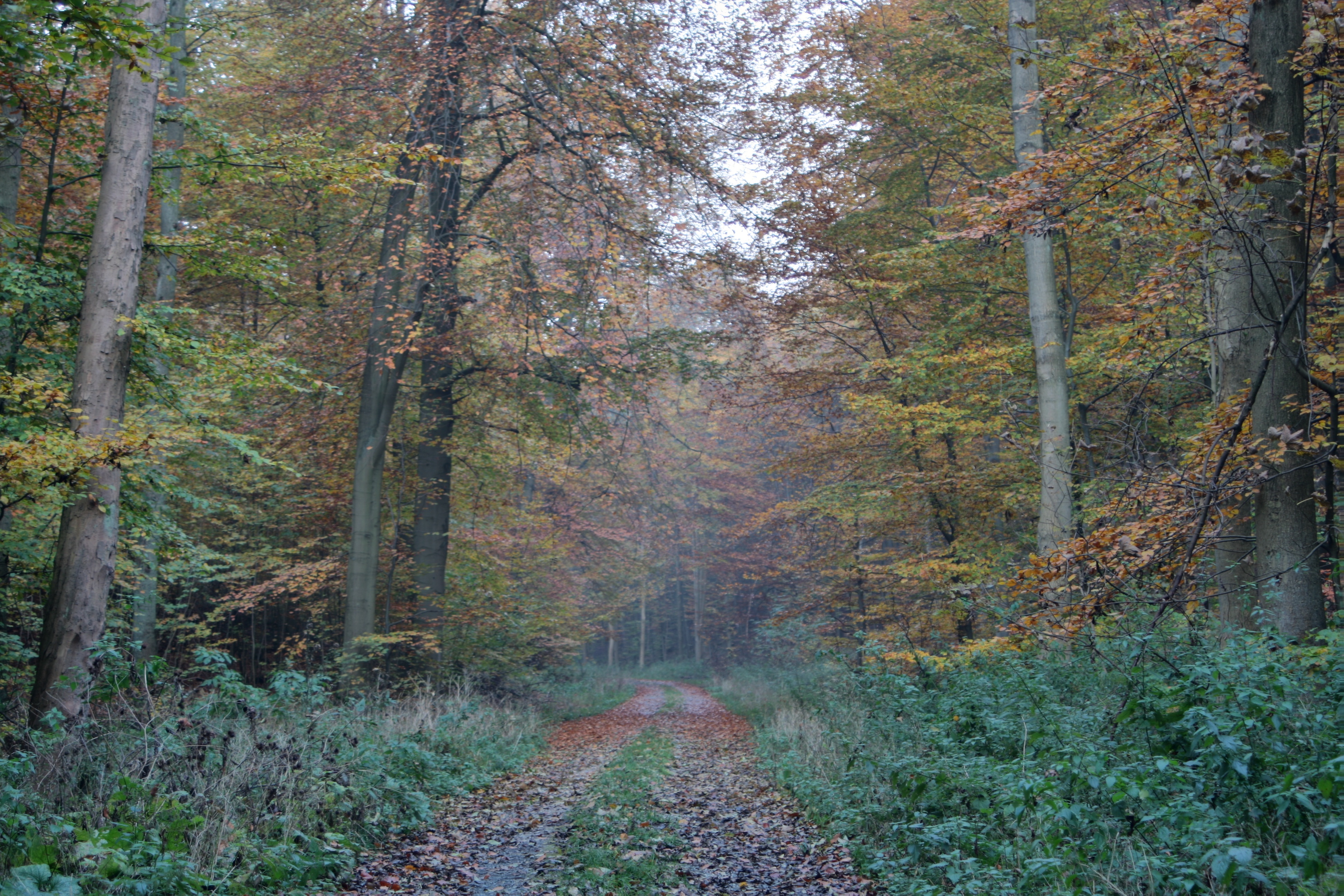 20080116192000-2.jpg
