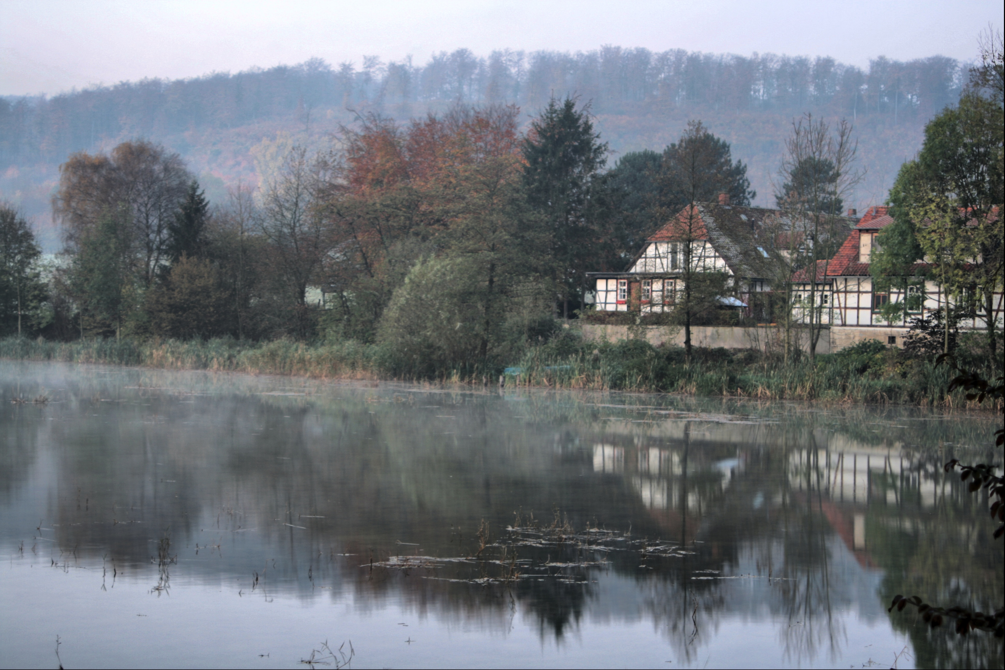 20080116192000-6.jpg