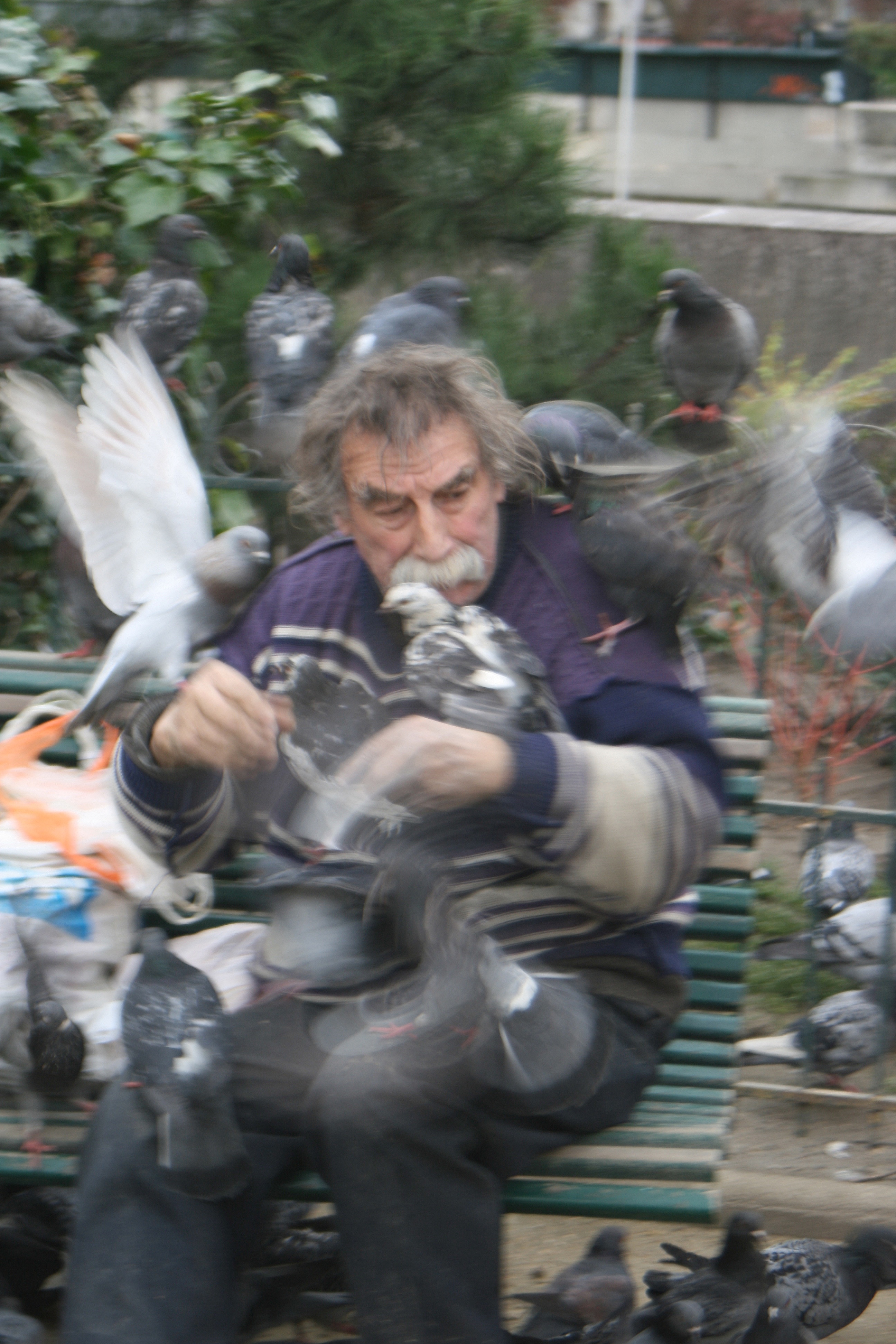 20080313163324.jpg