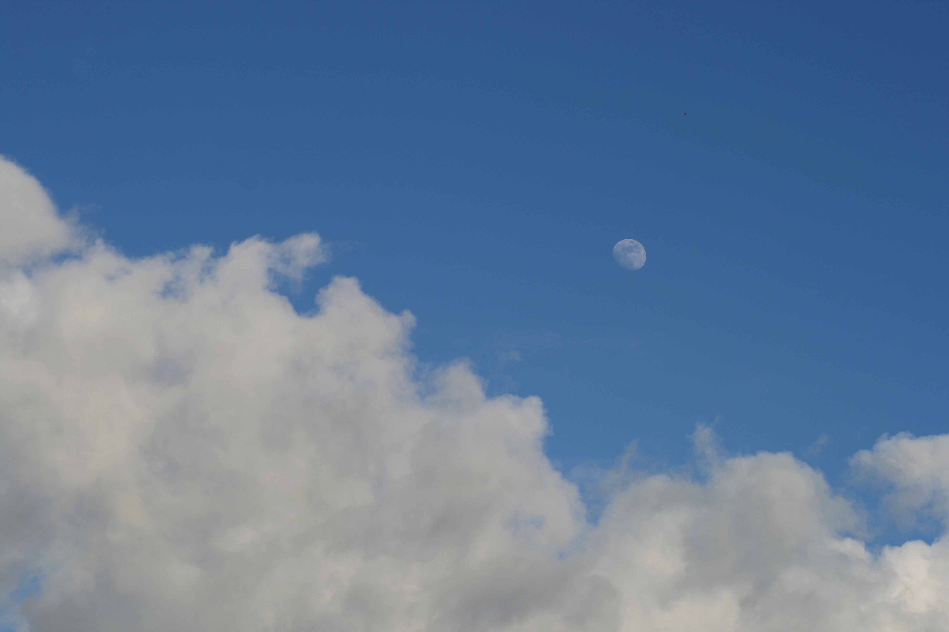 20080318170059.jpg