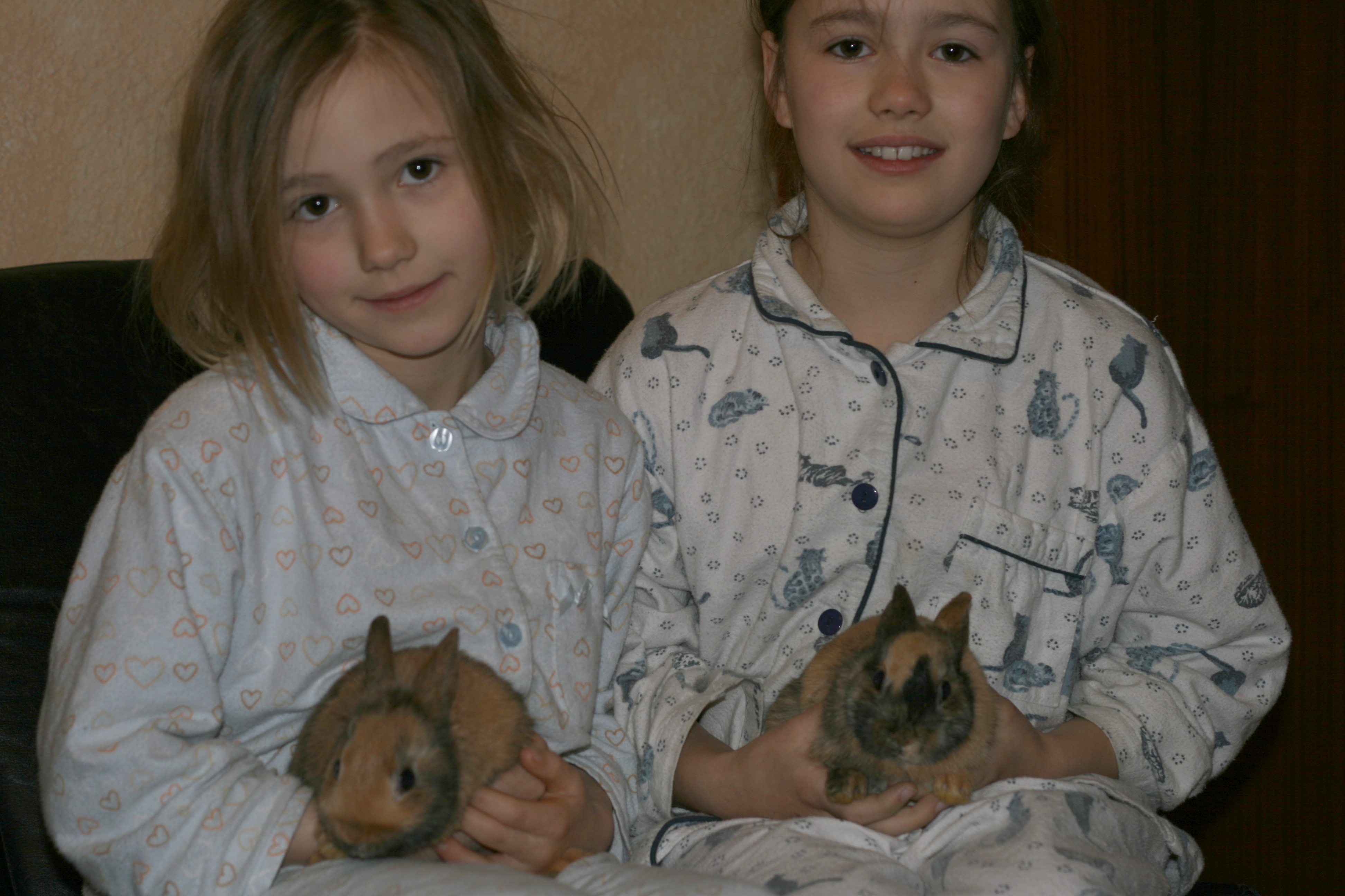 20080323063215.jpg