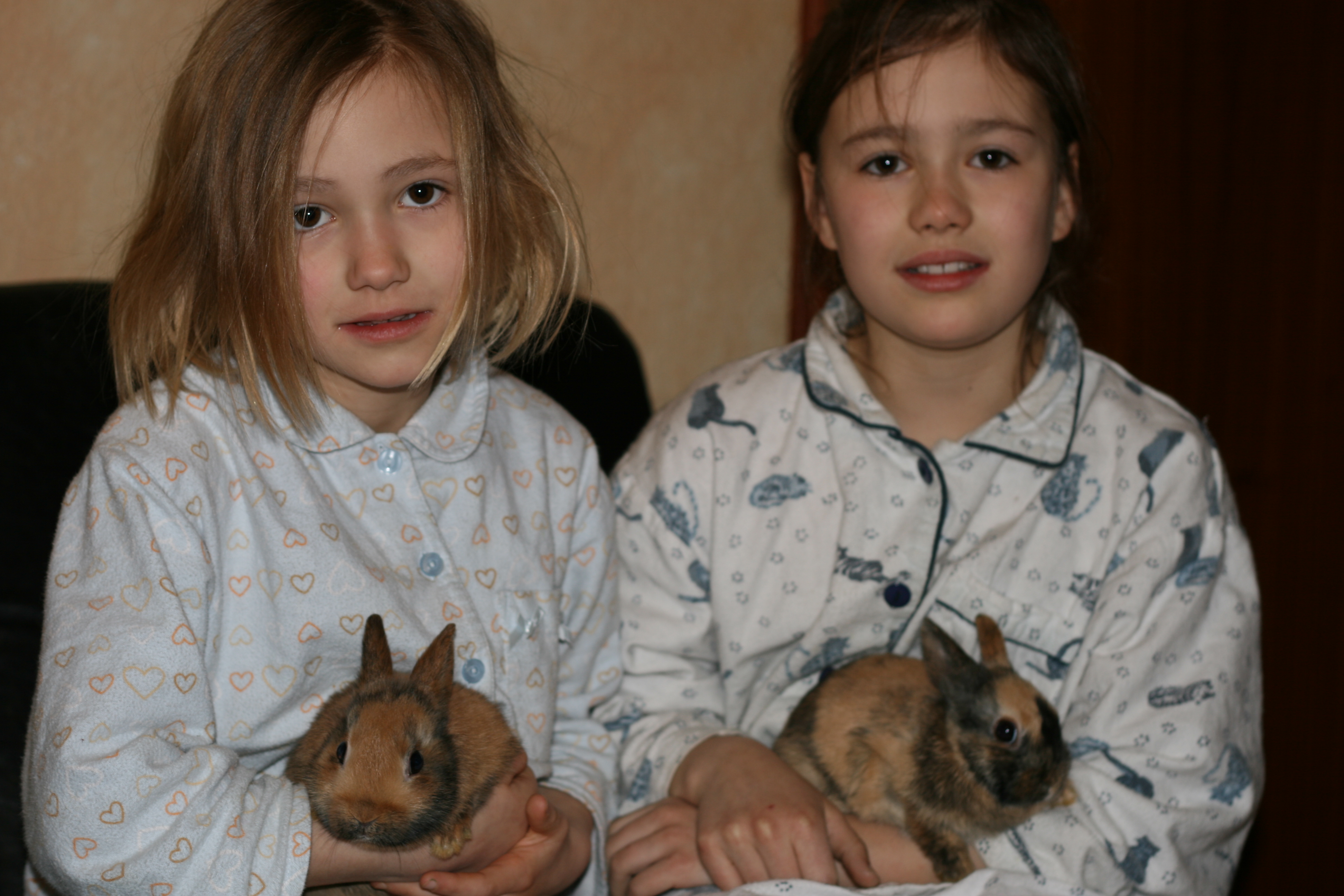 20080323063231.jpg