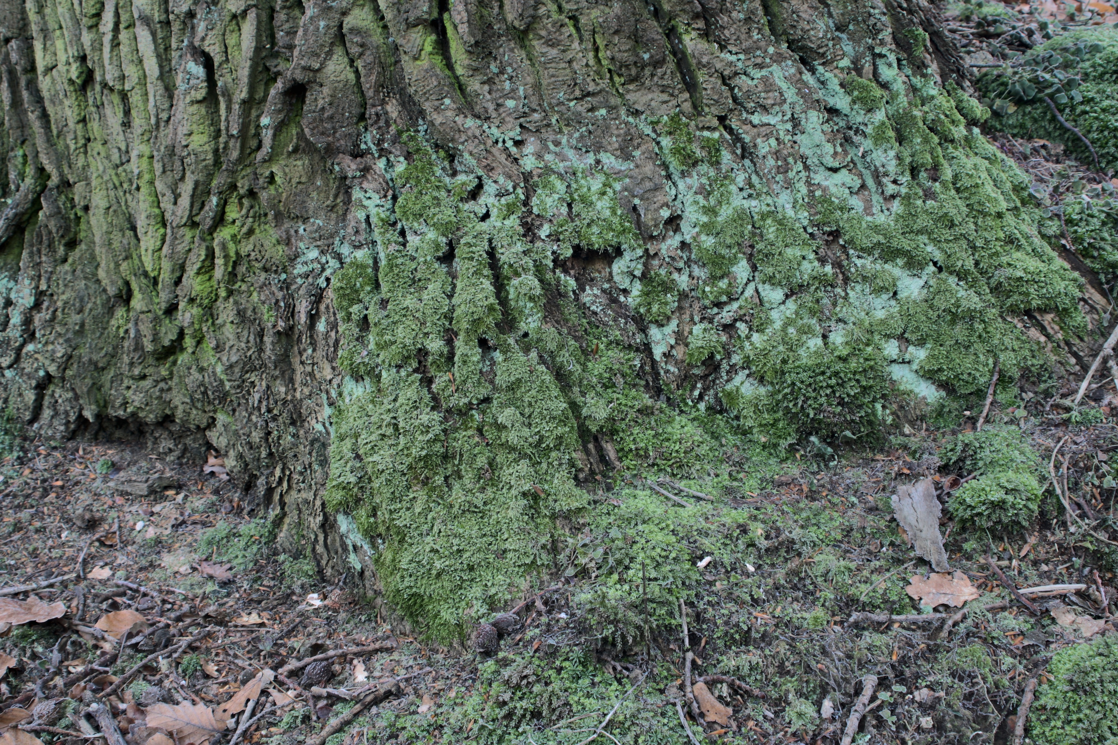 20080323084300-17.jpg