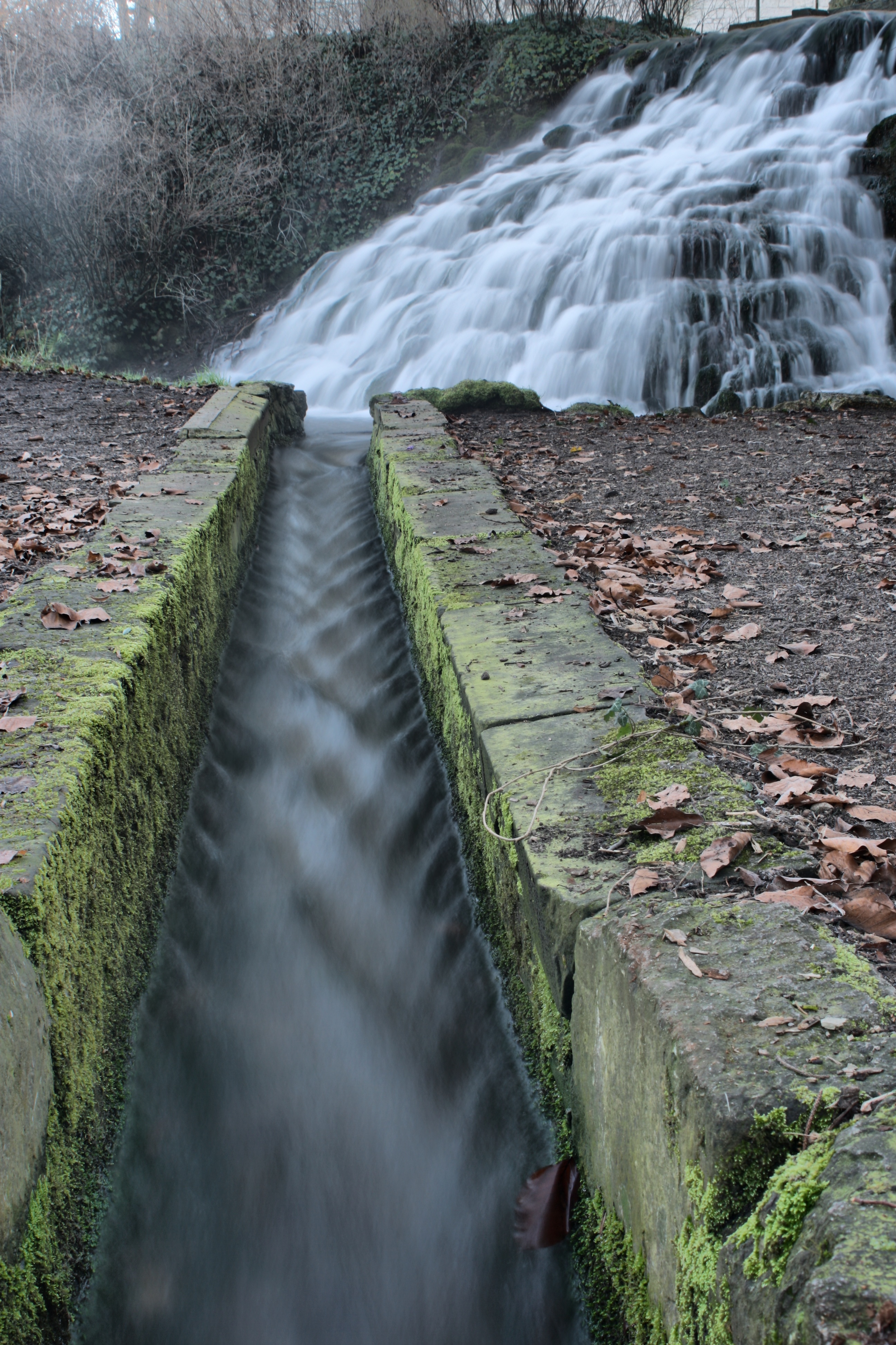 20080323084300-2.jpg