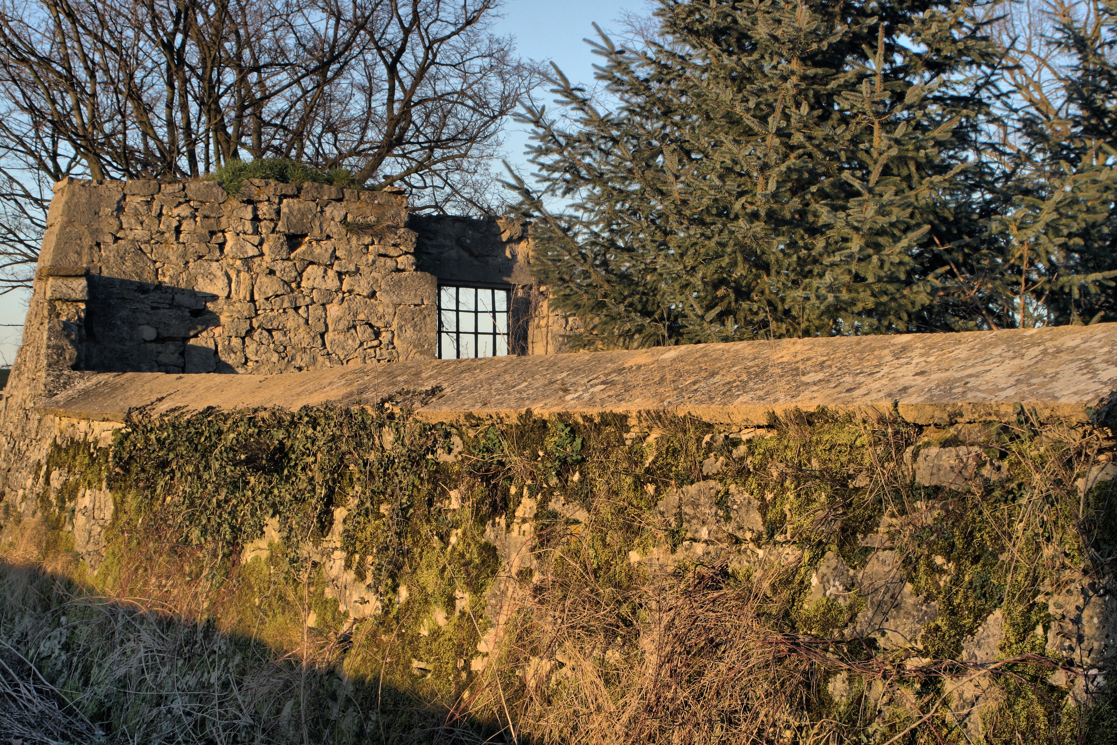20080323084300-28.jpg