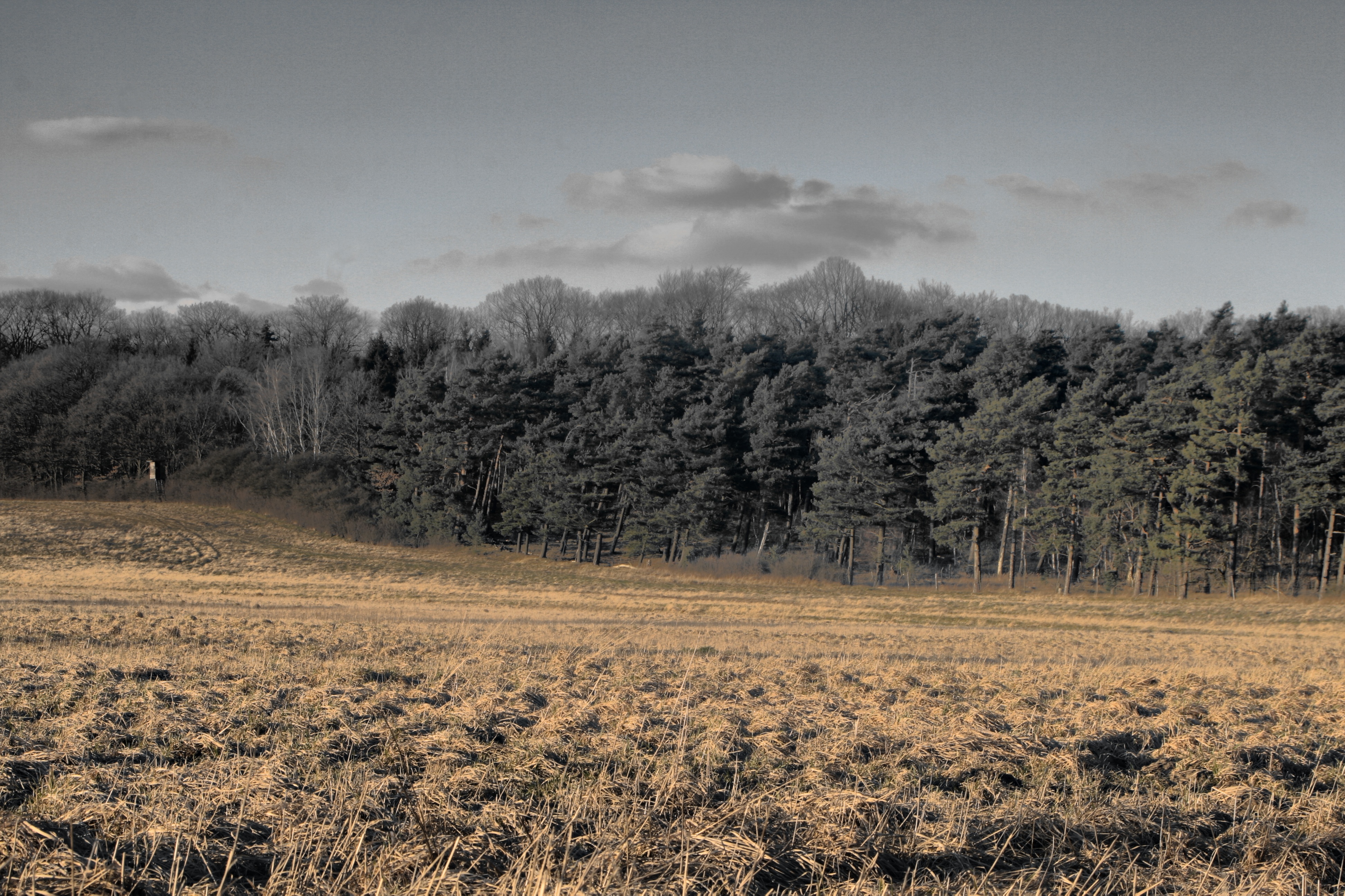 20080323084300-29.jpg