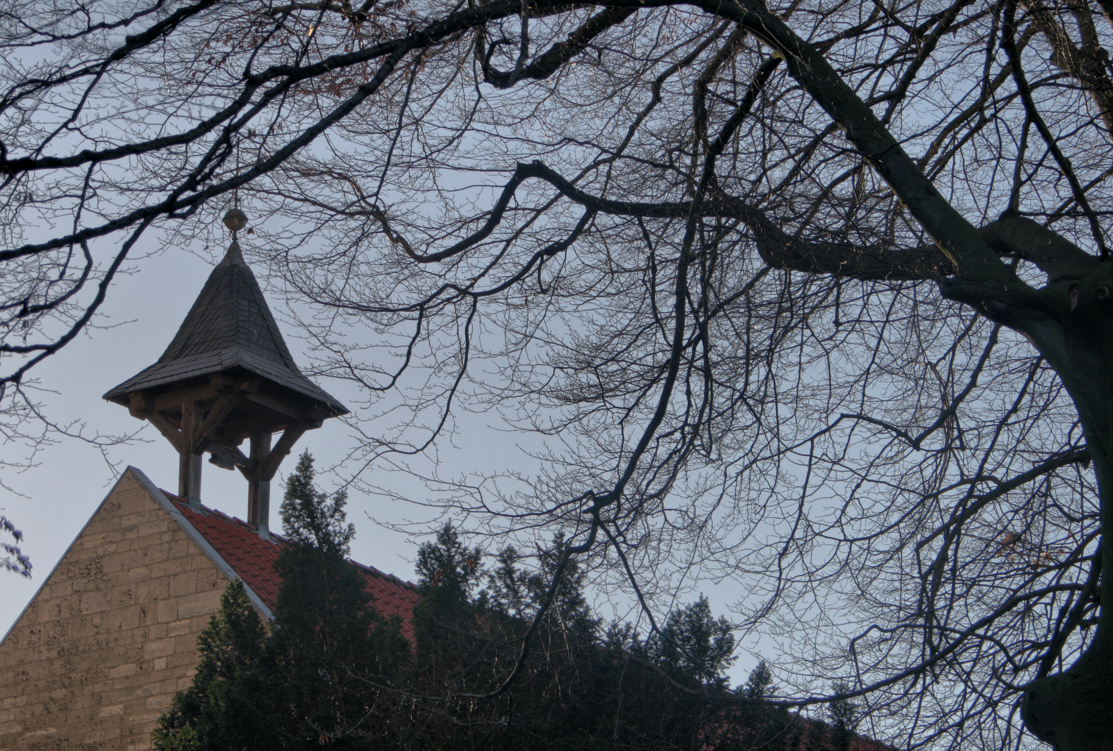 20080323084300-30.jpg